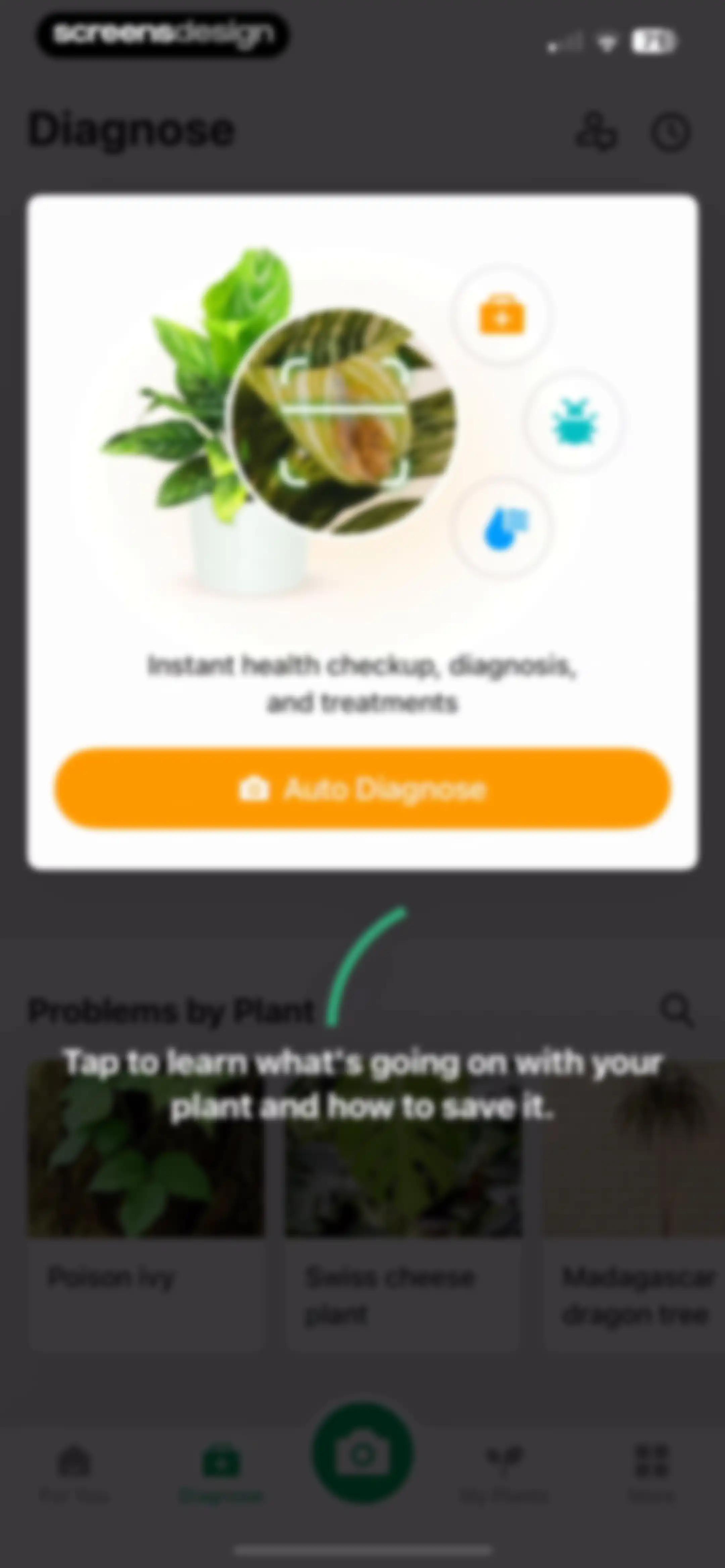 PictureThis - Plant Identifier screen 146