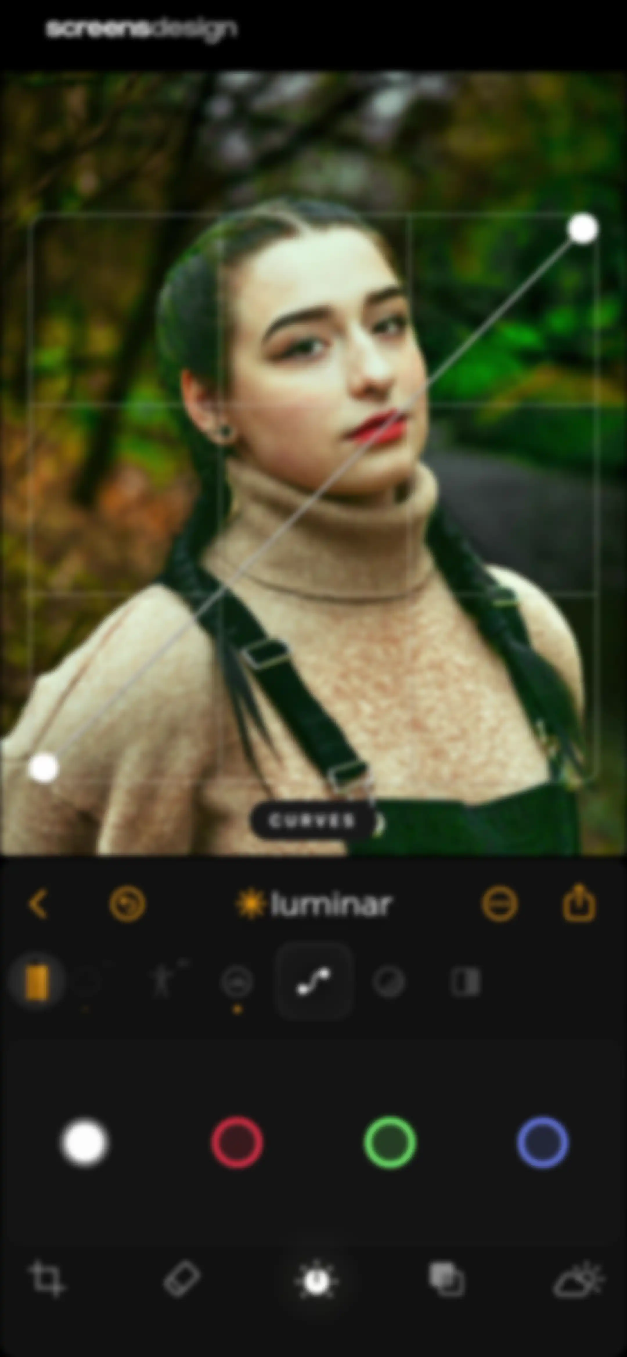Luminar: Image Editor&Enhancer screen 31