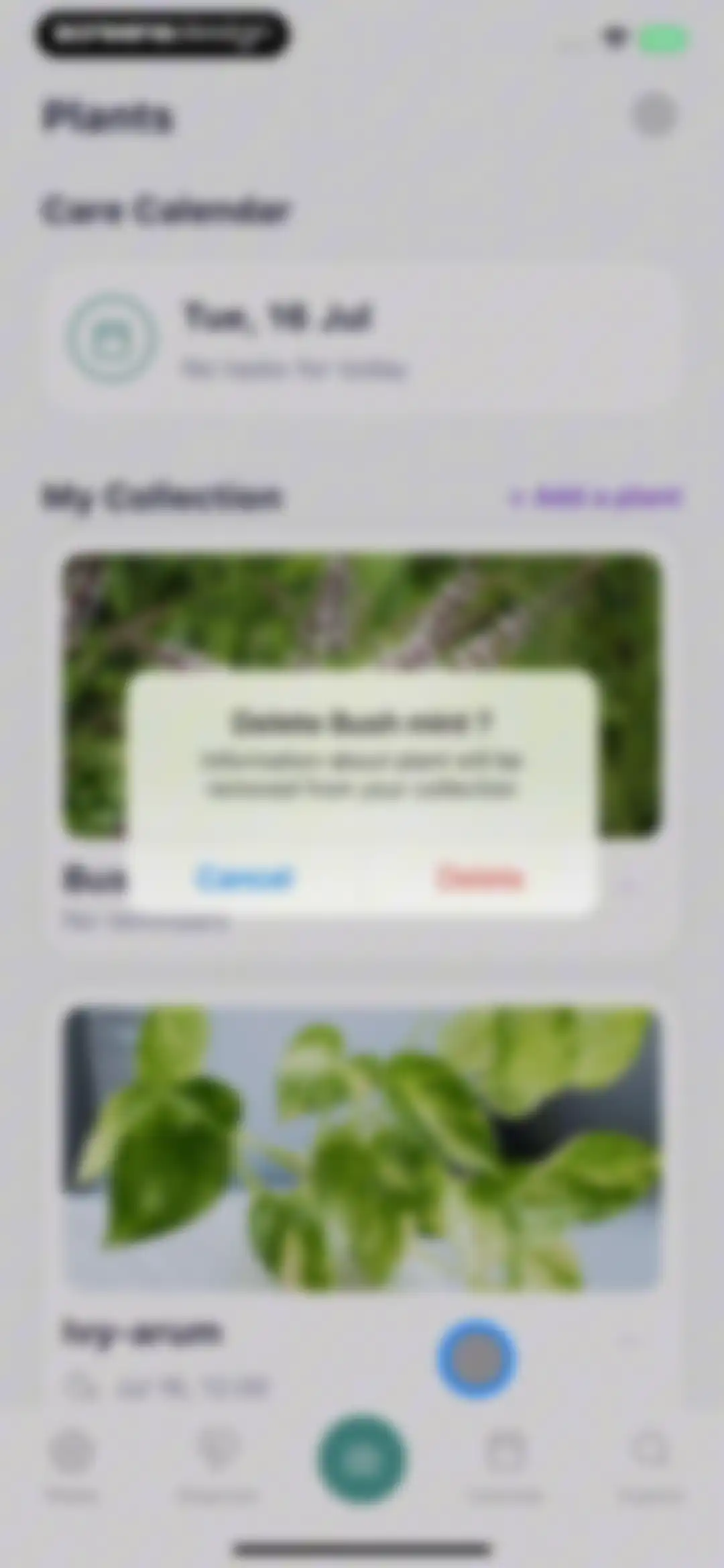AI Plant Identifier・Care－Lily screen 61