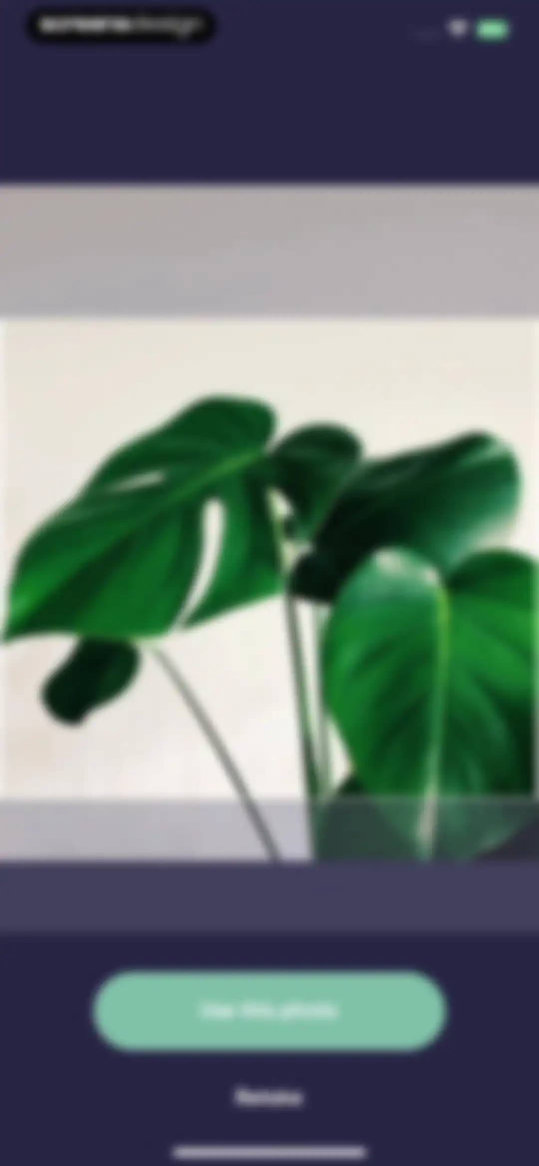 Plant Identifier, Care: Planty screen 43