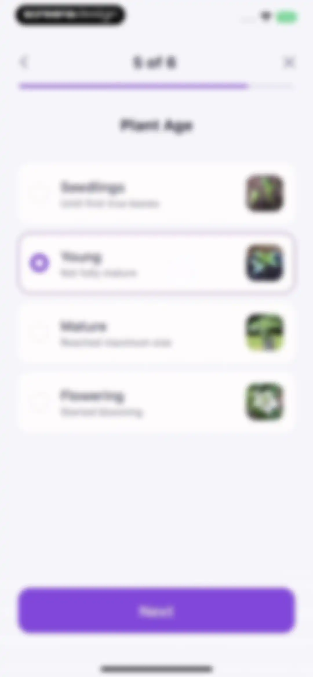 AI Plant Identifier・Care－Lily screen 27