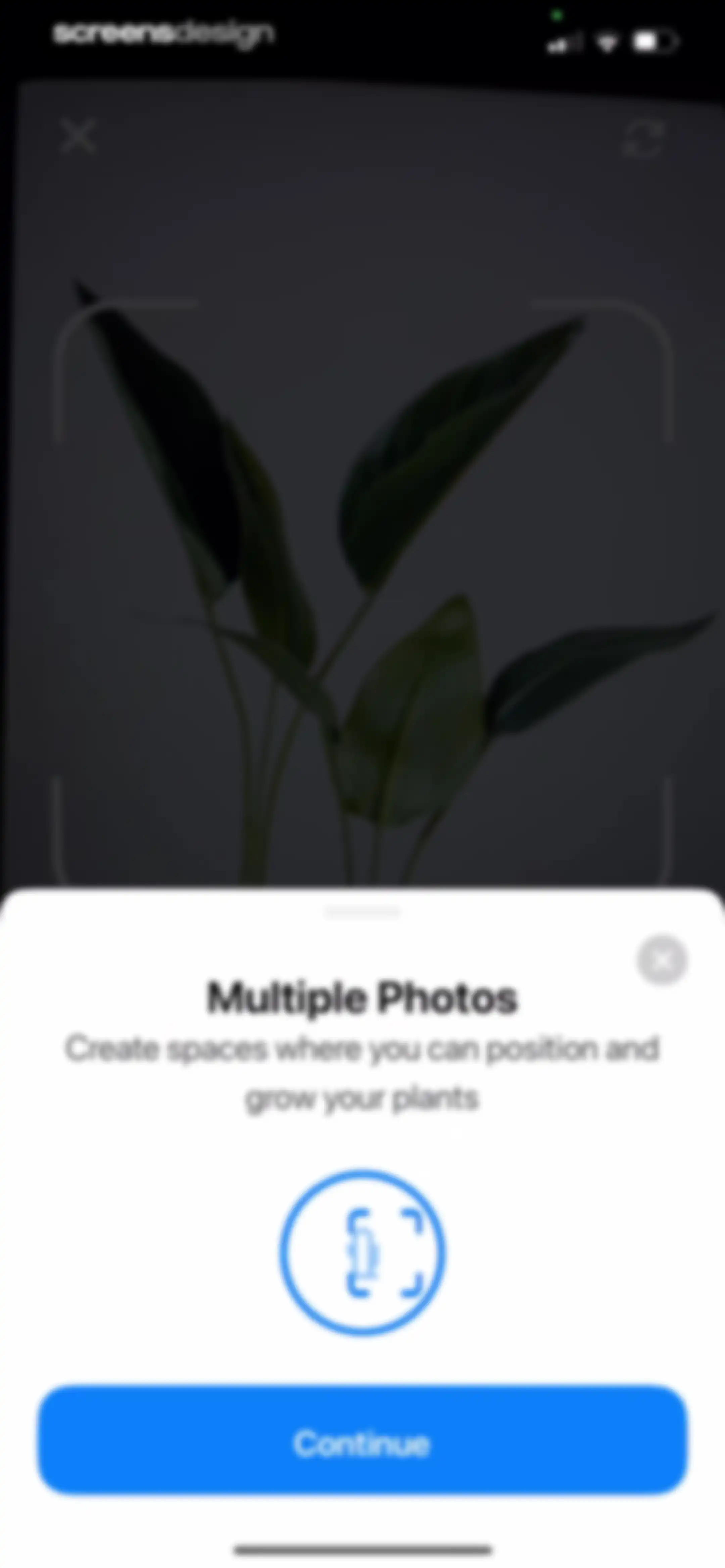 Plant App: Plant Identifier screen 39