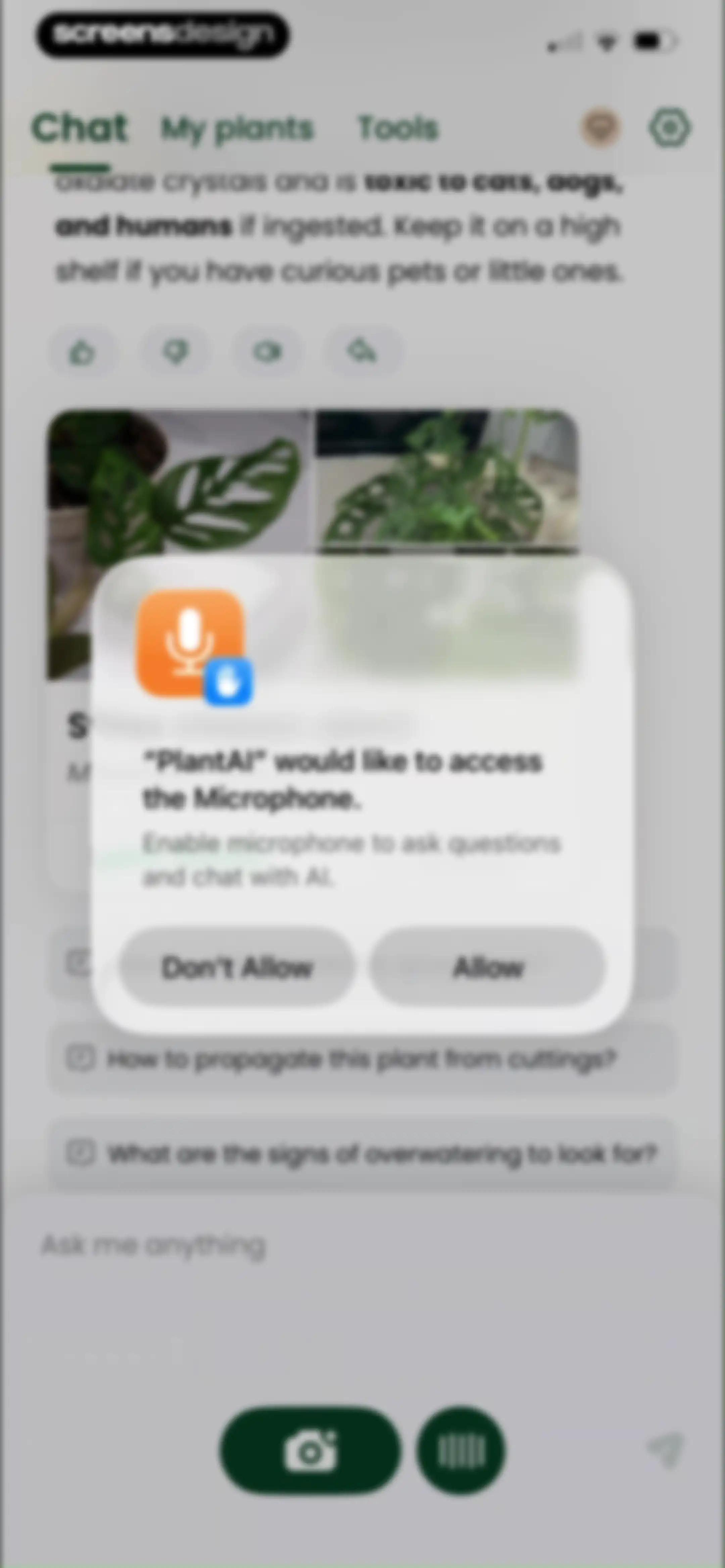 PlantAI: Identifier & Diagnose screen 56
