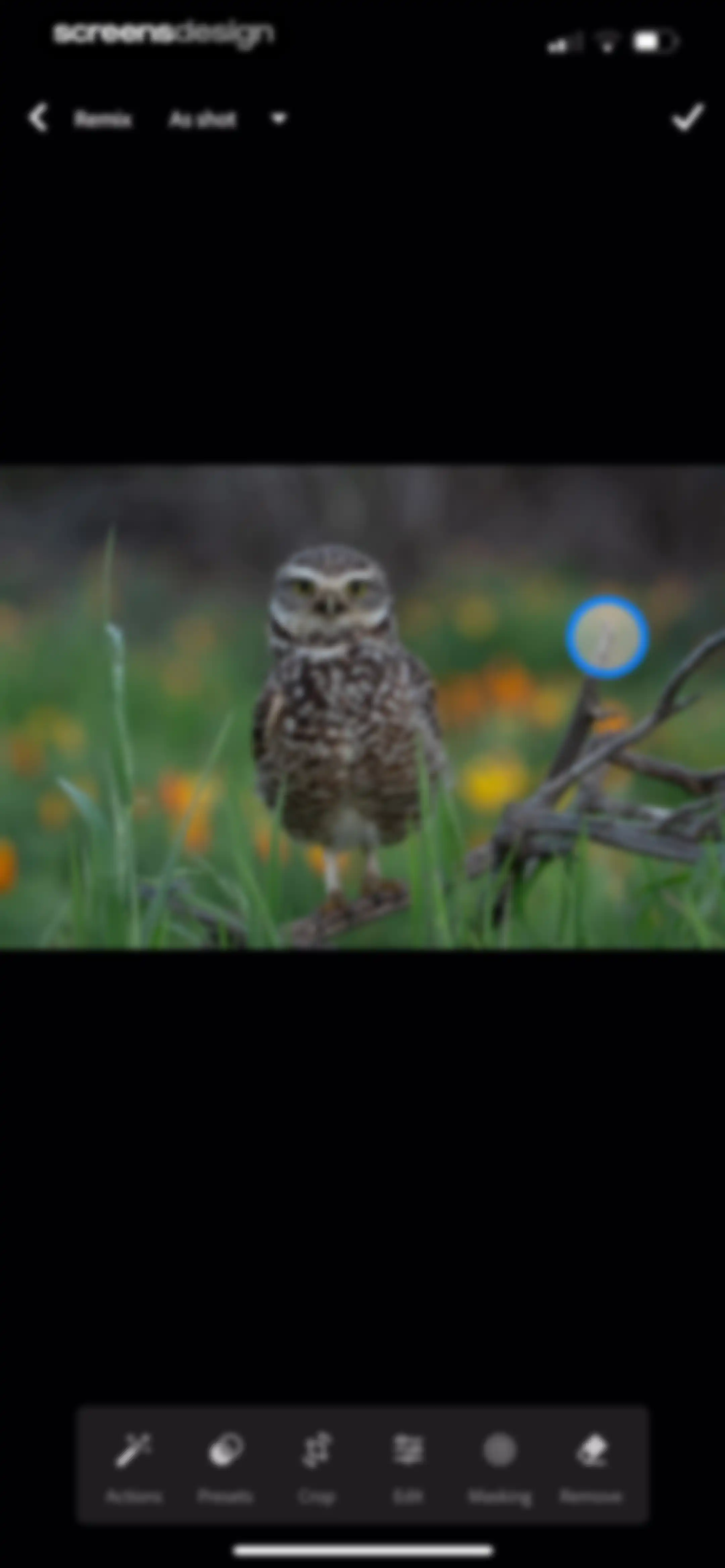 Lightroom: AI Photo Editor screen 163