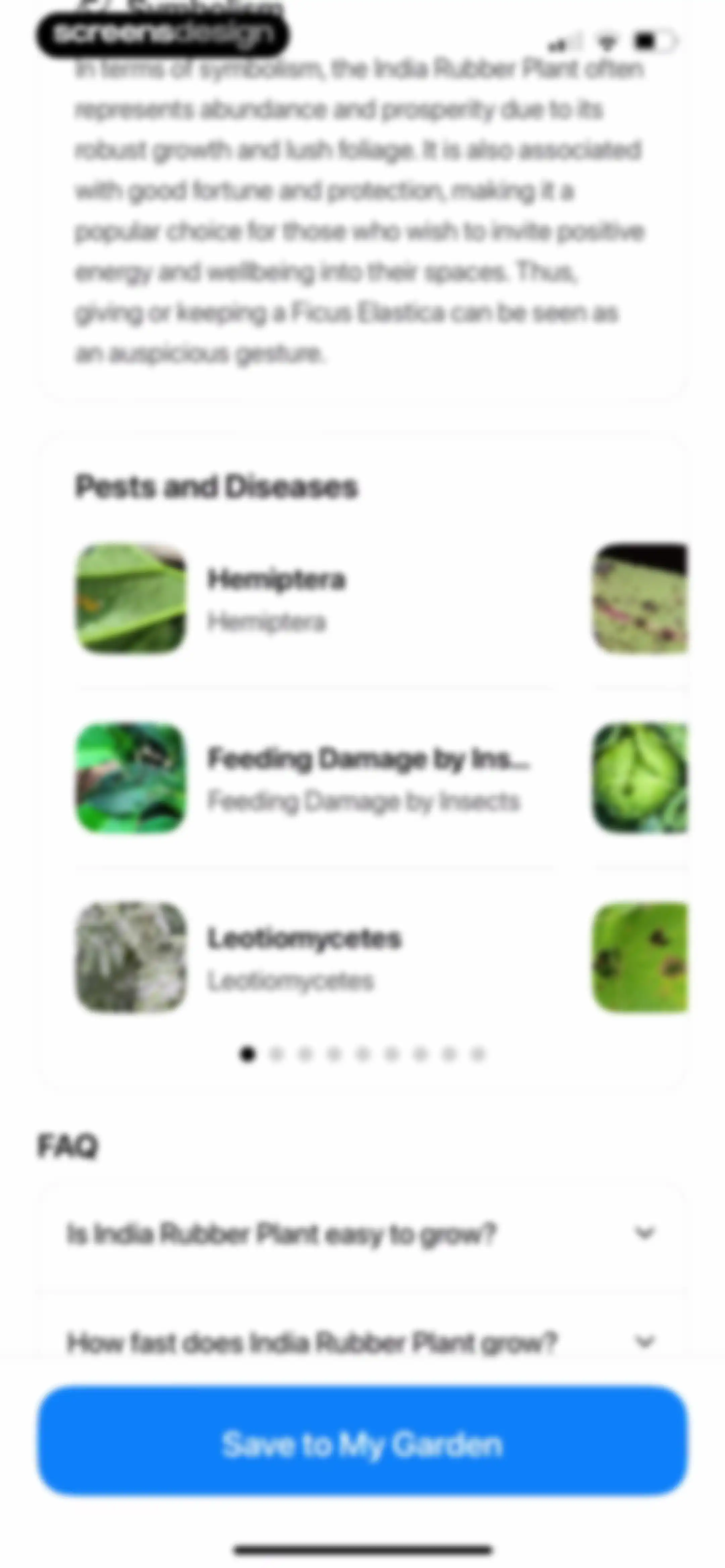 Plant App: Plant Identifier screen 52