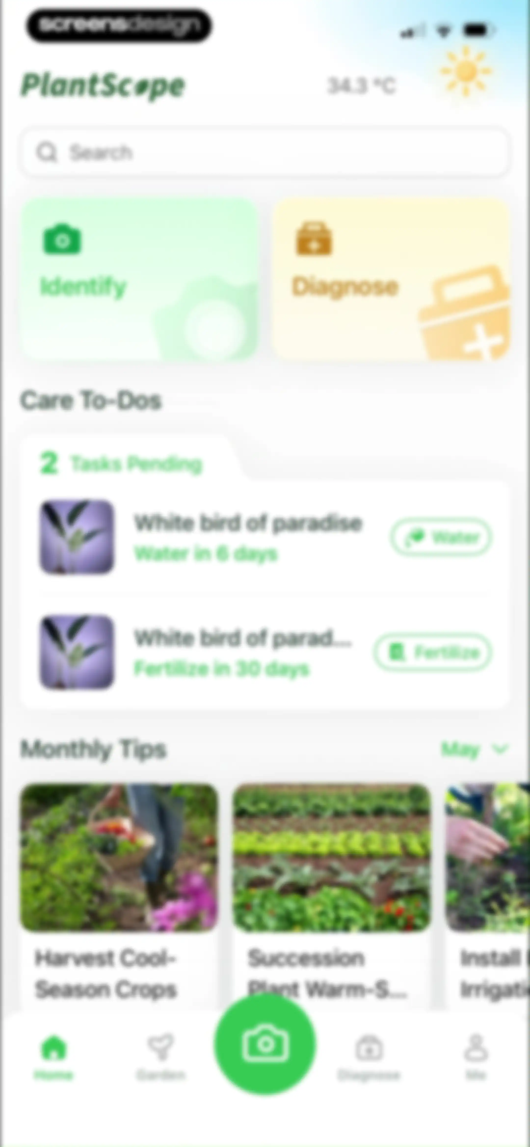 Plant Identifier & Plant Care. screen 35