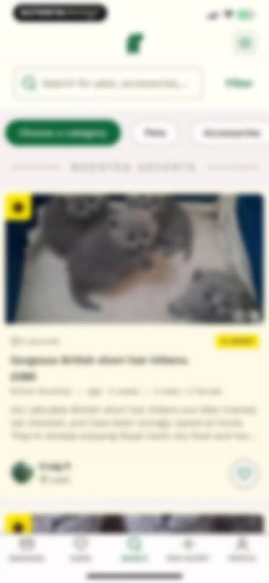 Pets4Homes: Dogs, Cats, Pets screen 13