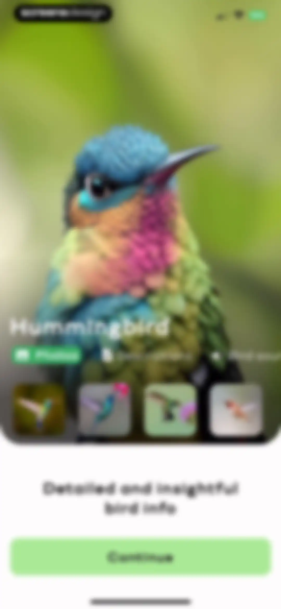 Bird Sounds Identifier Call ID screen 4
