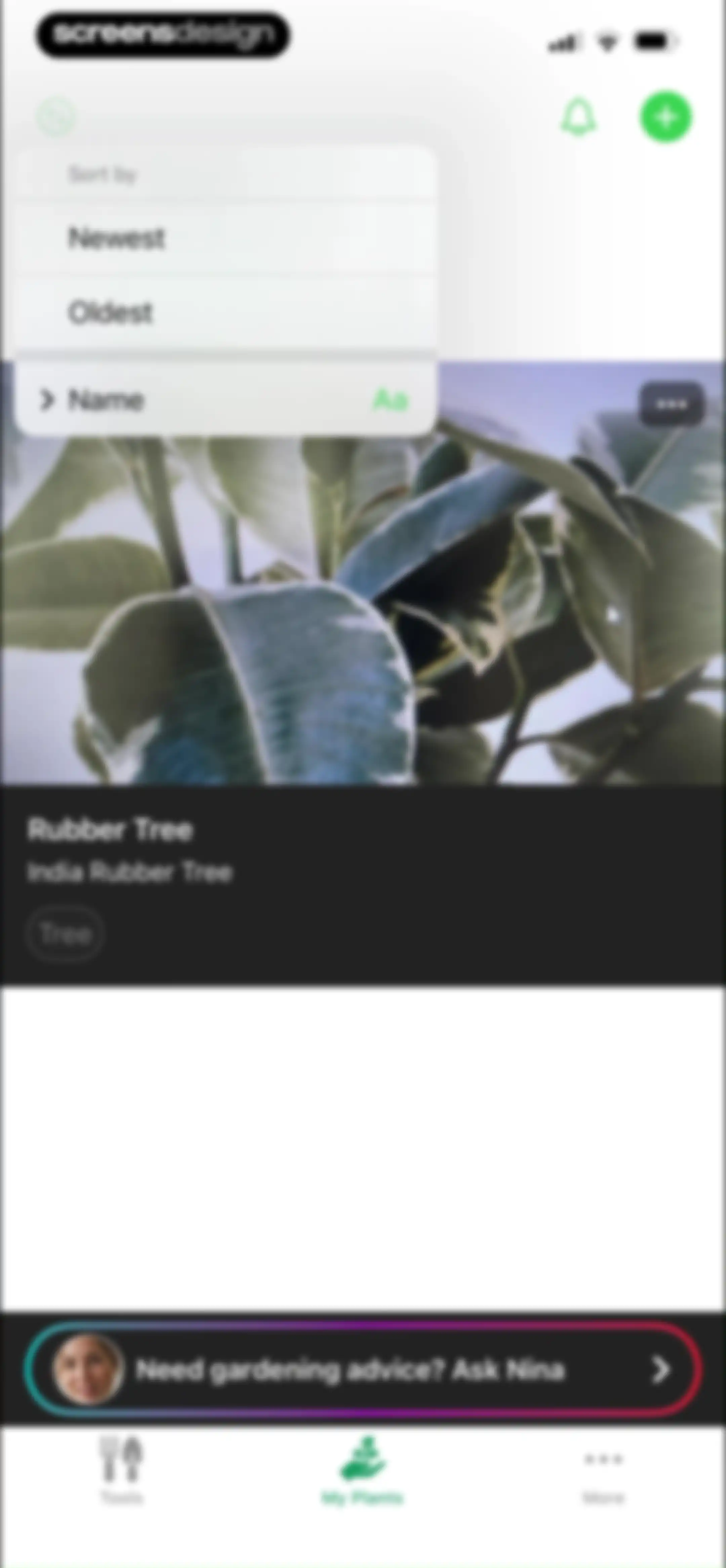 Free Plant Identifier screen 45
