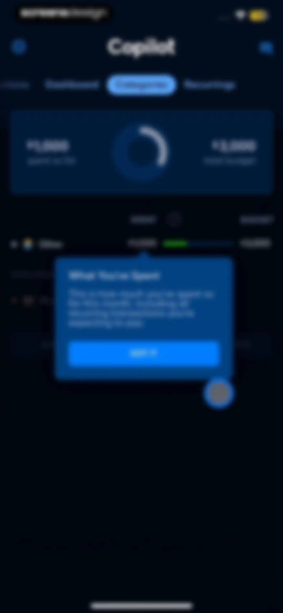 Copilot: Track & Budget Money screen 56