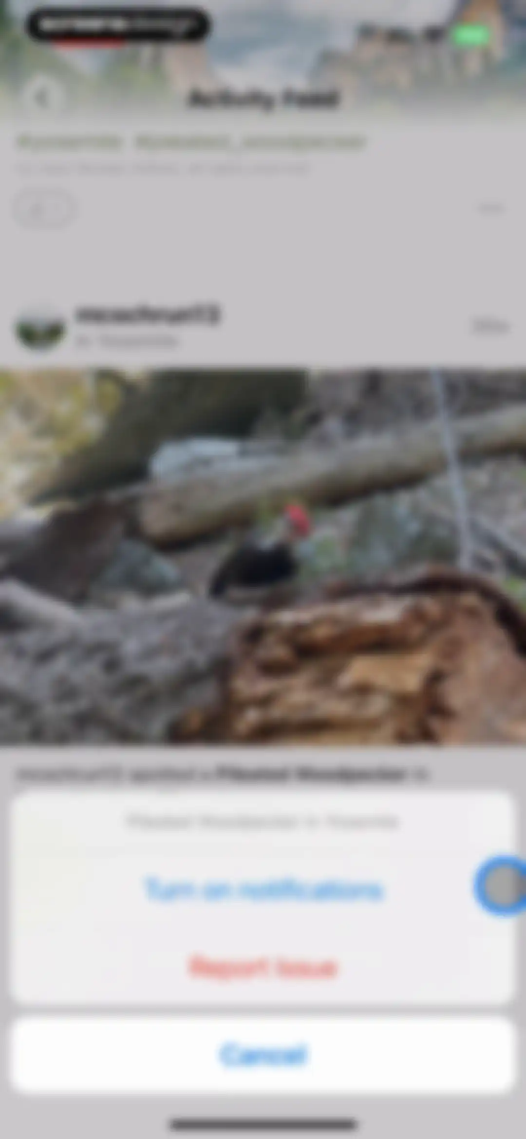 Parkwolf: National Park Guide screen 44