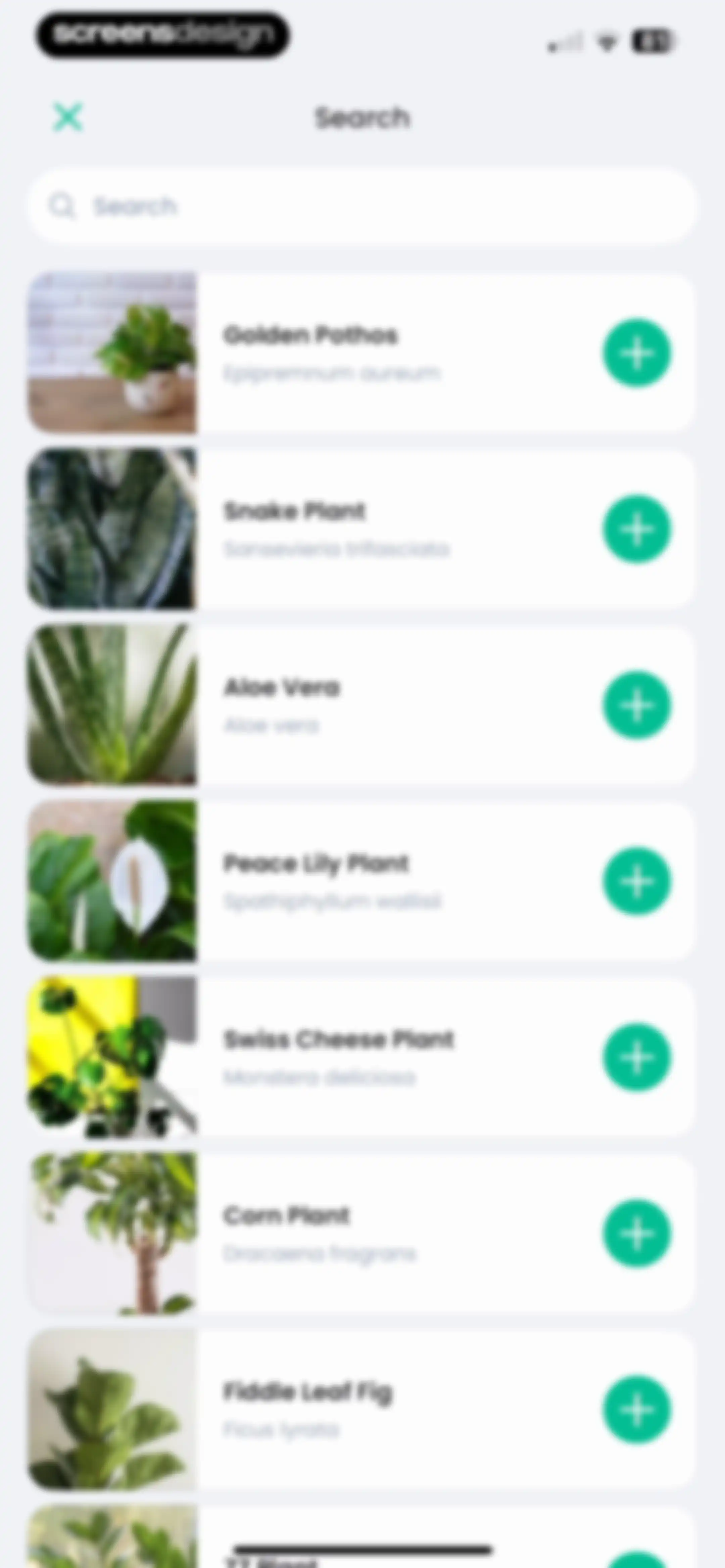 PlantIn: Plant Identifier・Care screen 100