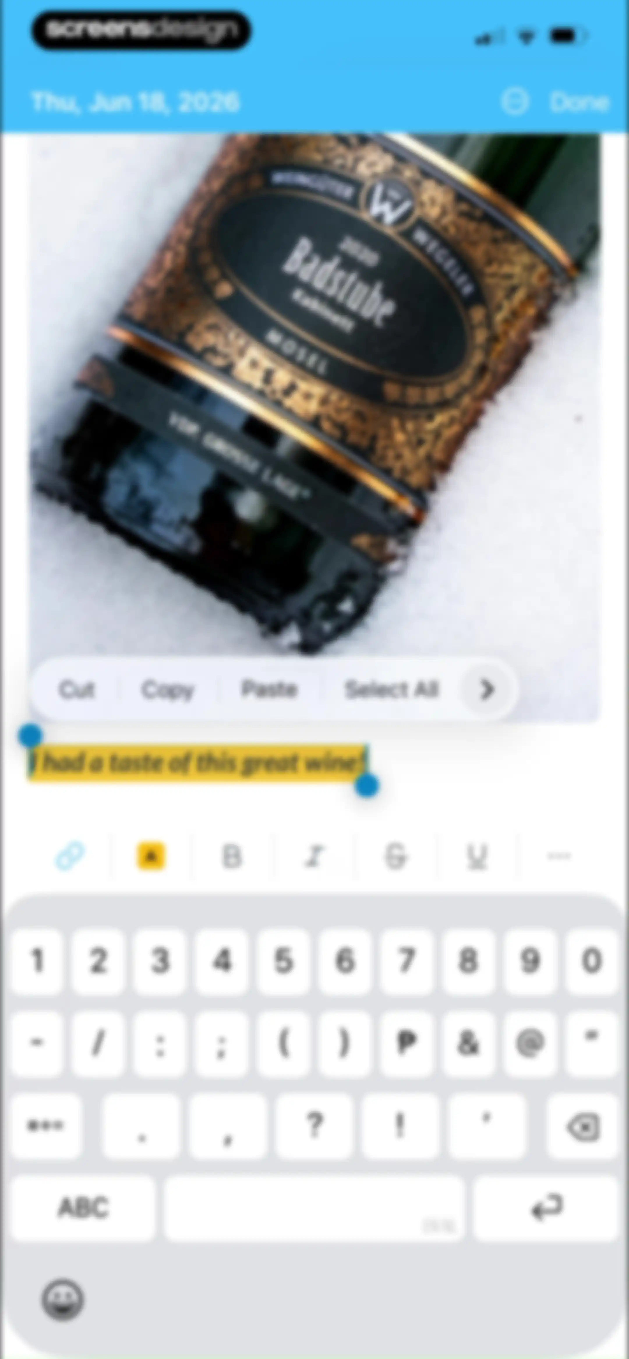 Day One: Daily Journal & Diary screen 21