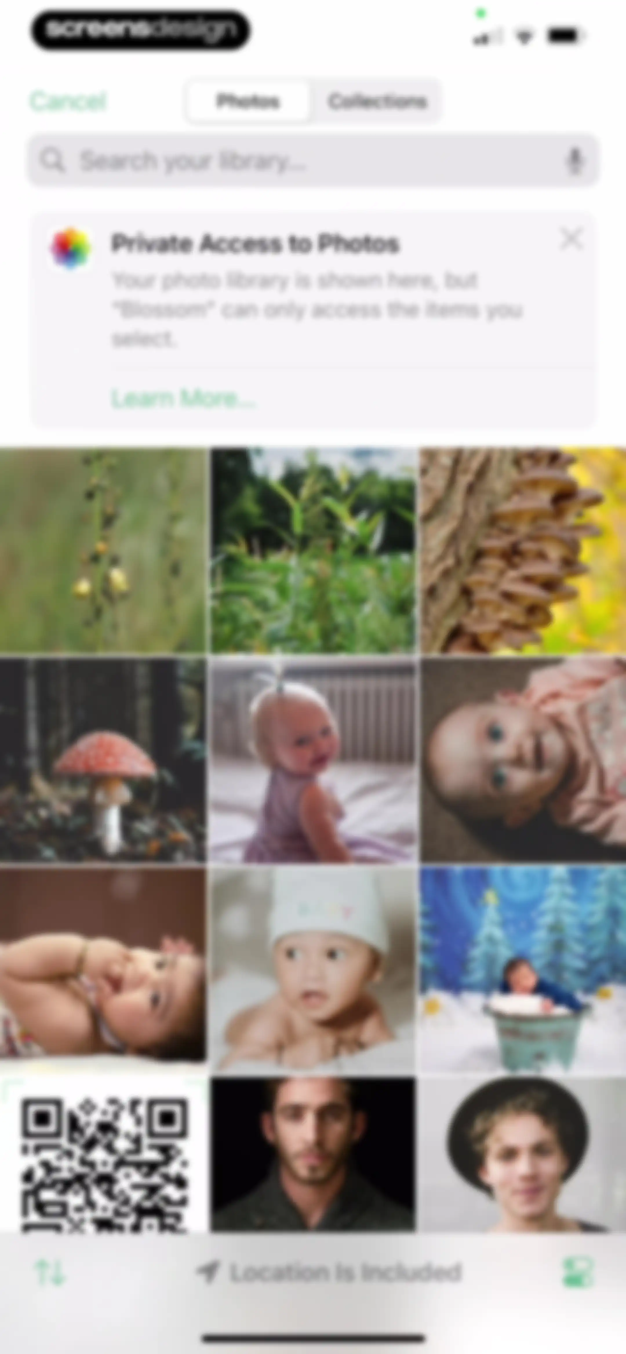 Blossom - Plant Care Guide screen 70