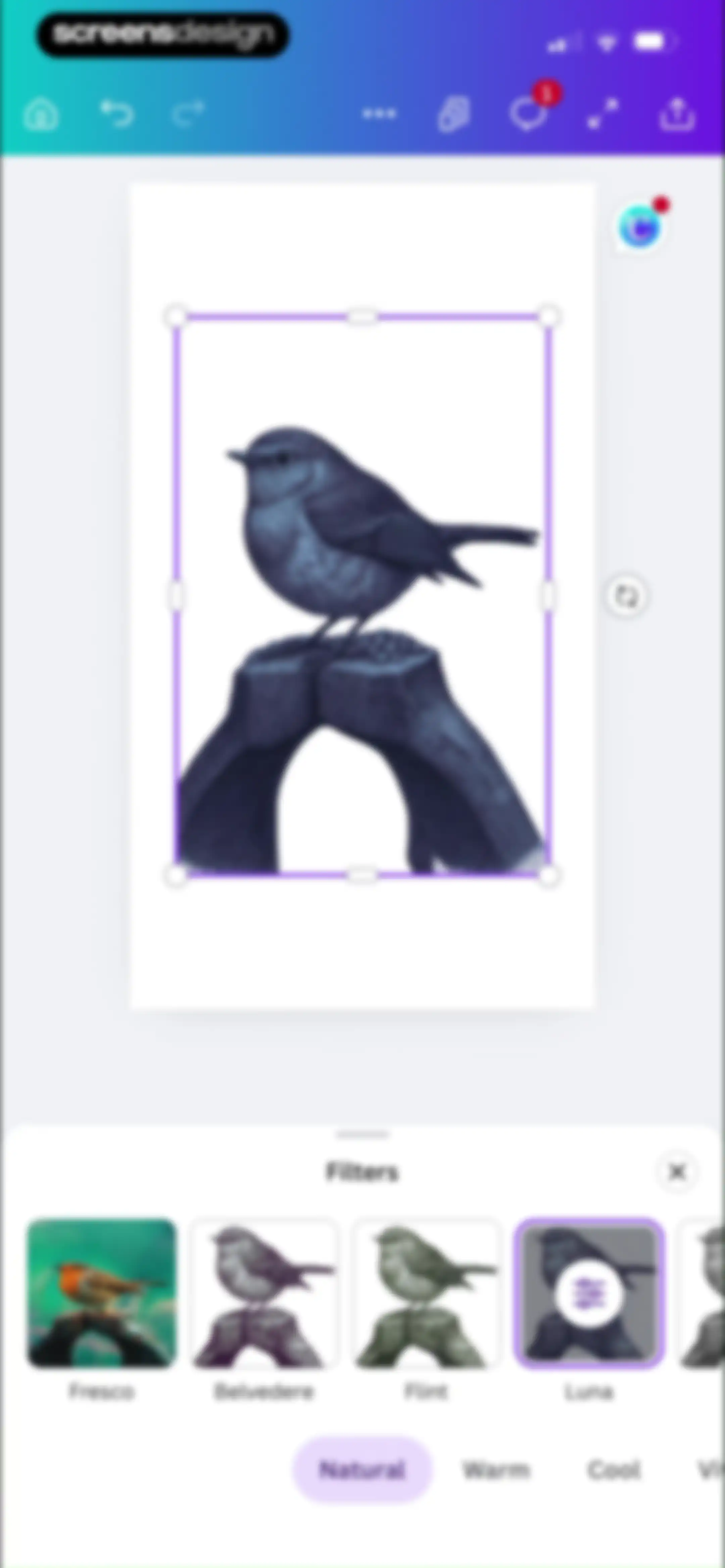 Canva: AI Video & Photo Editor screen 47