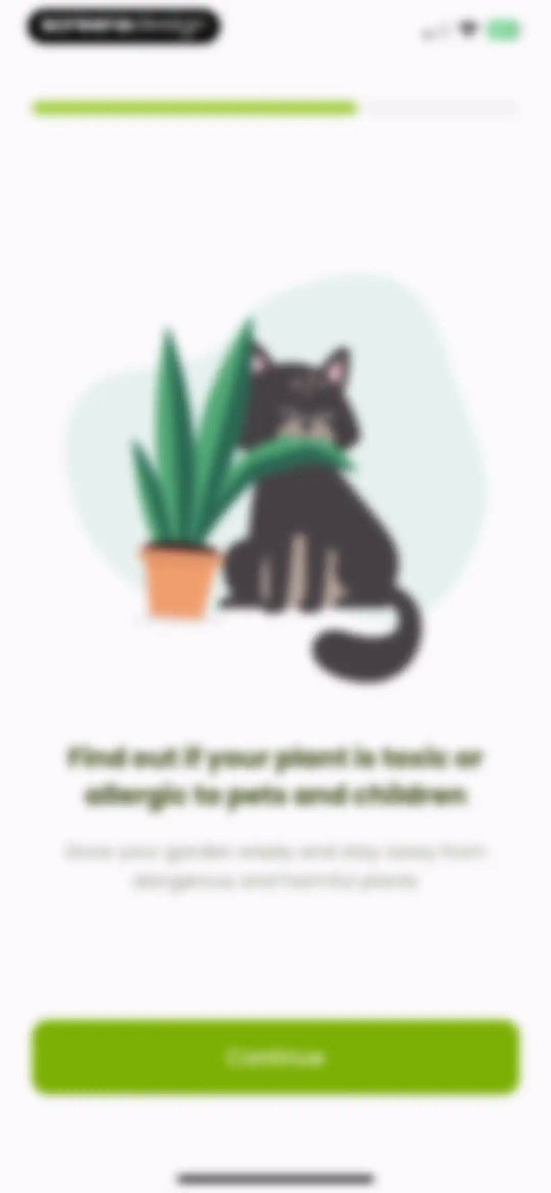 Plant Identifier & Care: Ficus screen 6
