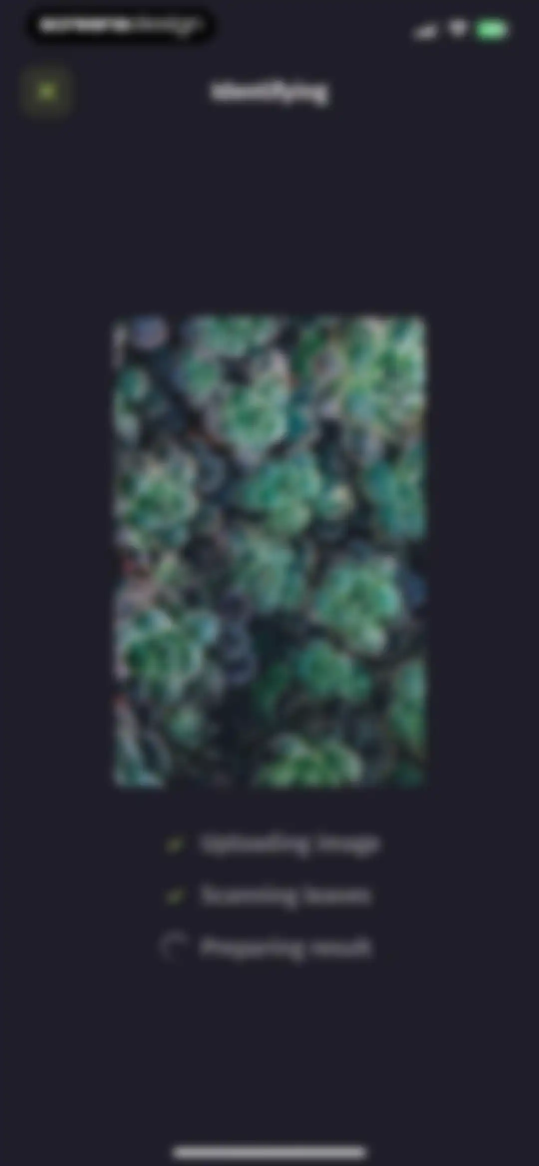 Plantion - Plant Identifier screen 24