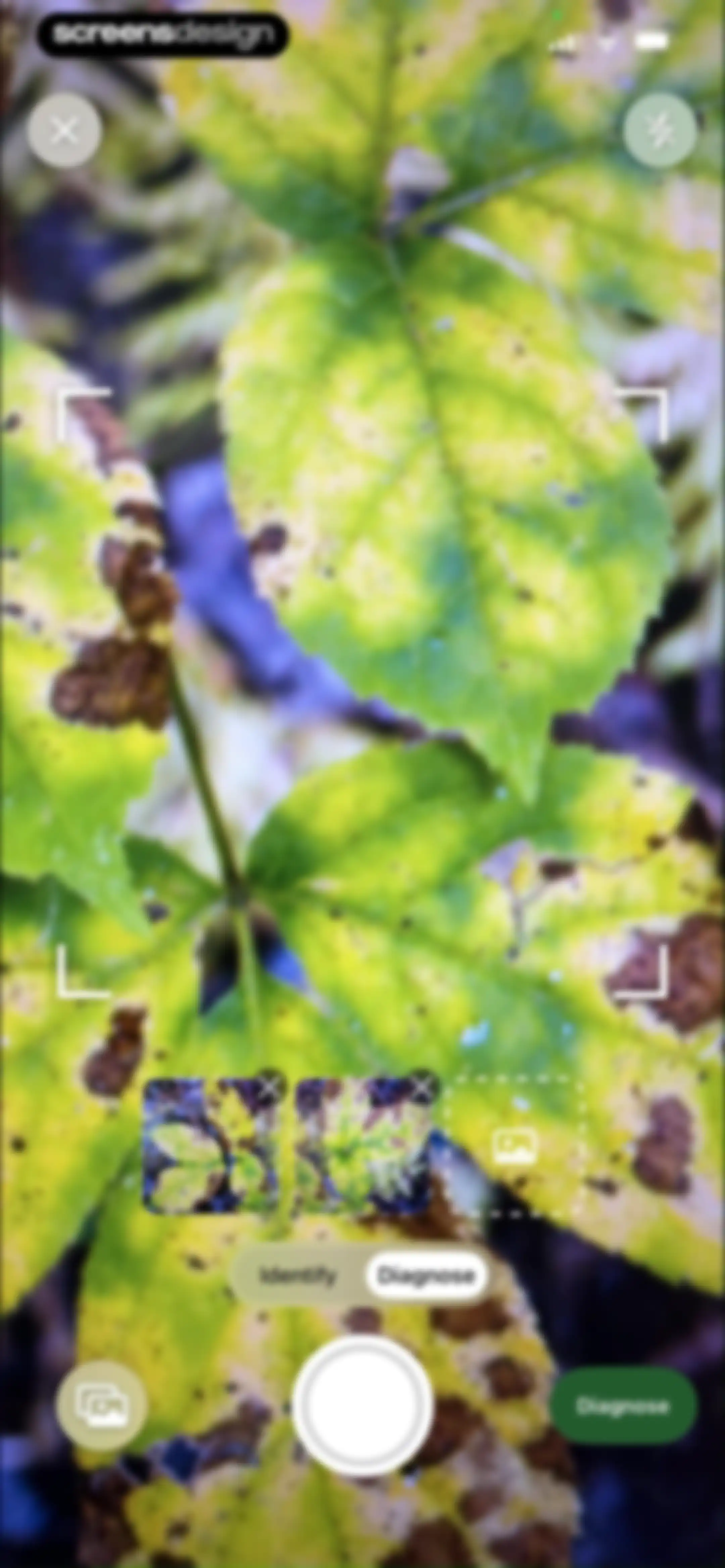 FloraSnap: Plant Scanner screen 50