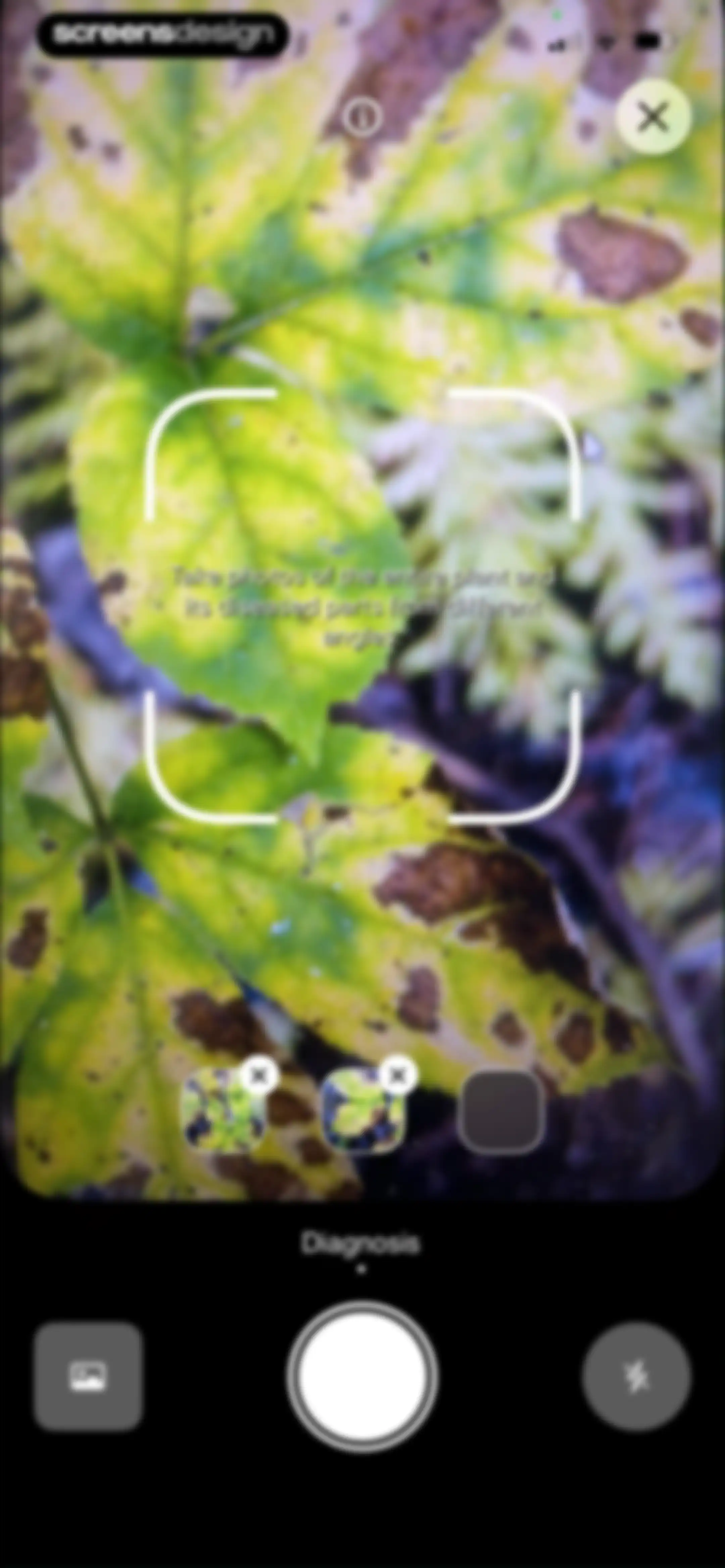Planto: Plant Identifier screen 27
