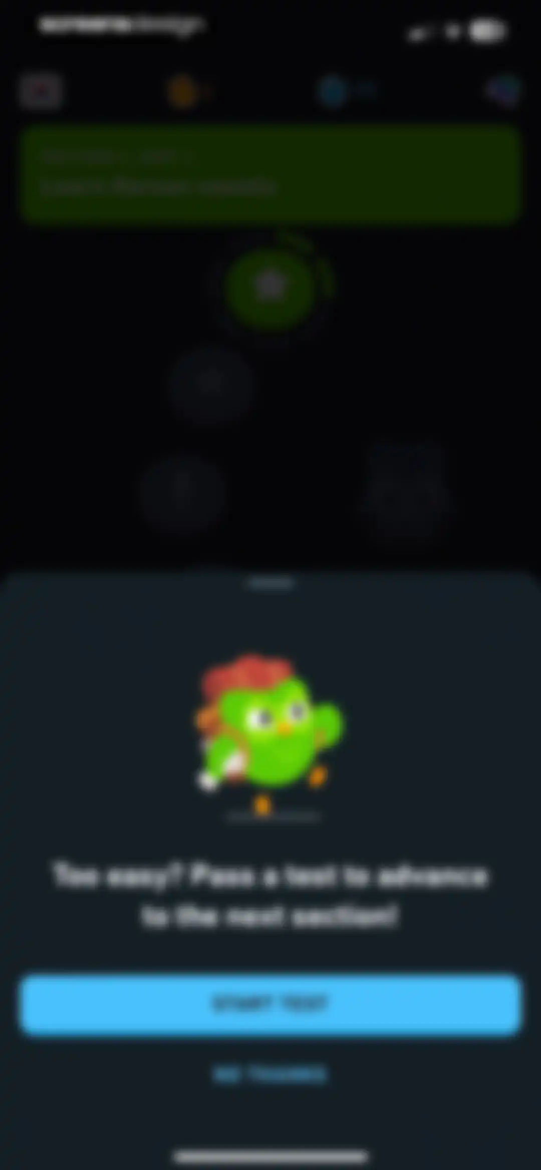 Duolingo: Language Lessons screen 115