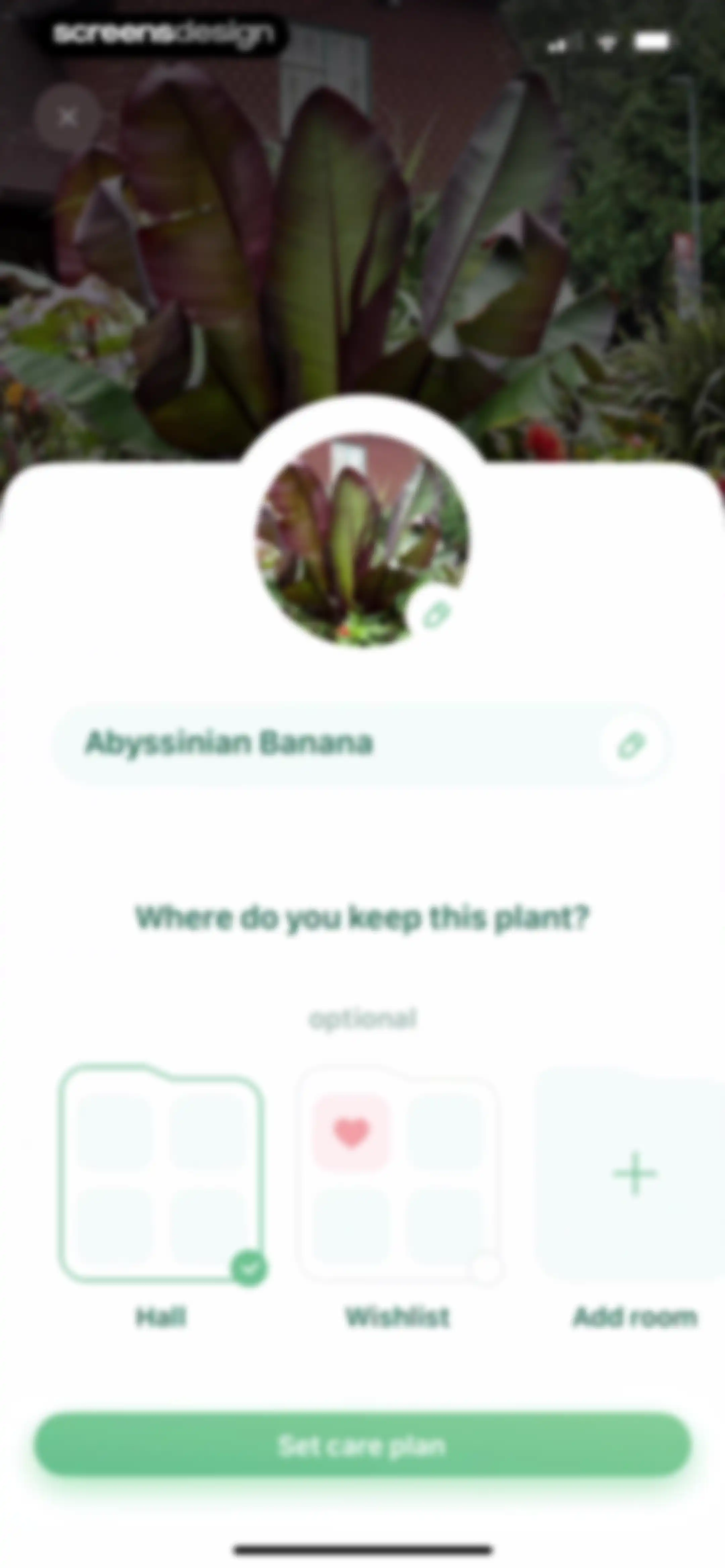 Blossom - Plant Care Guide screen 36