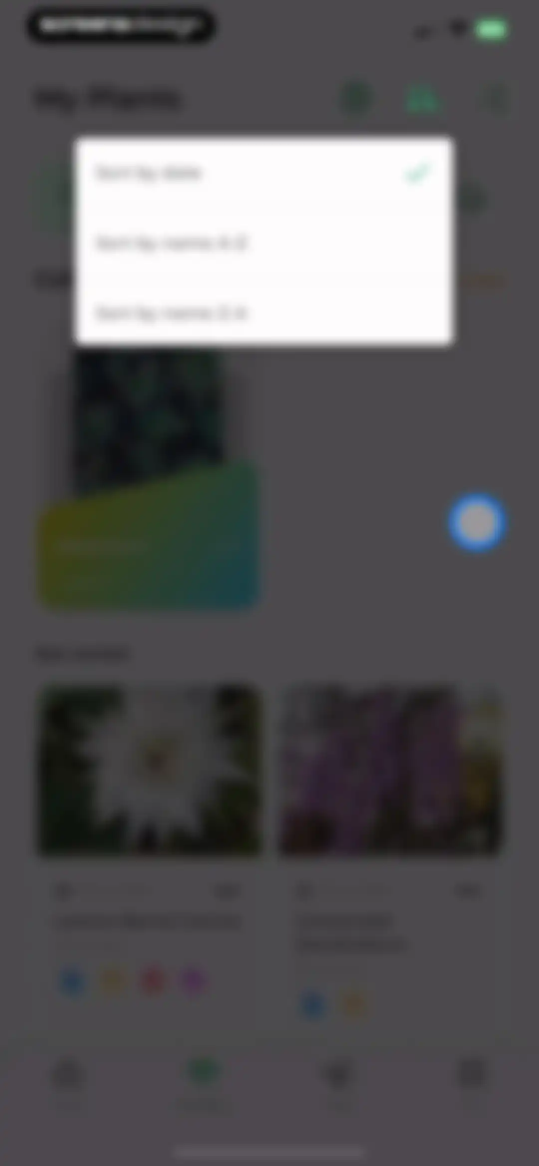 Plant Identifier: LeafSnap screen 65