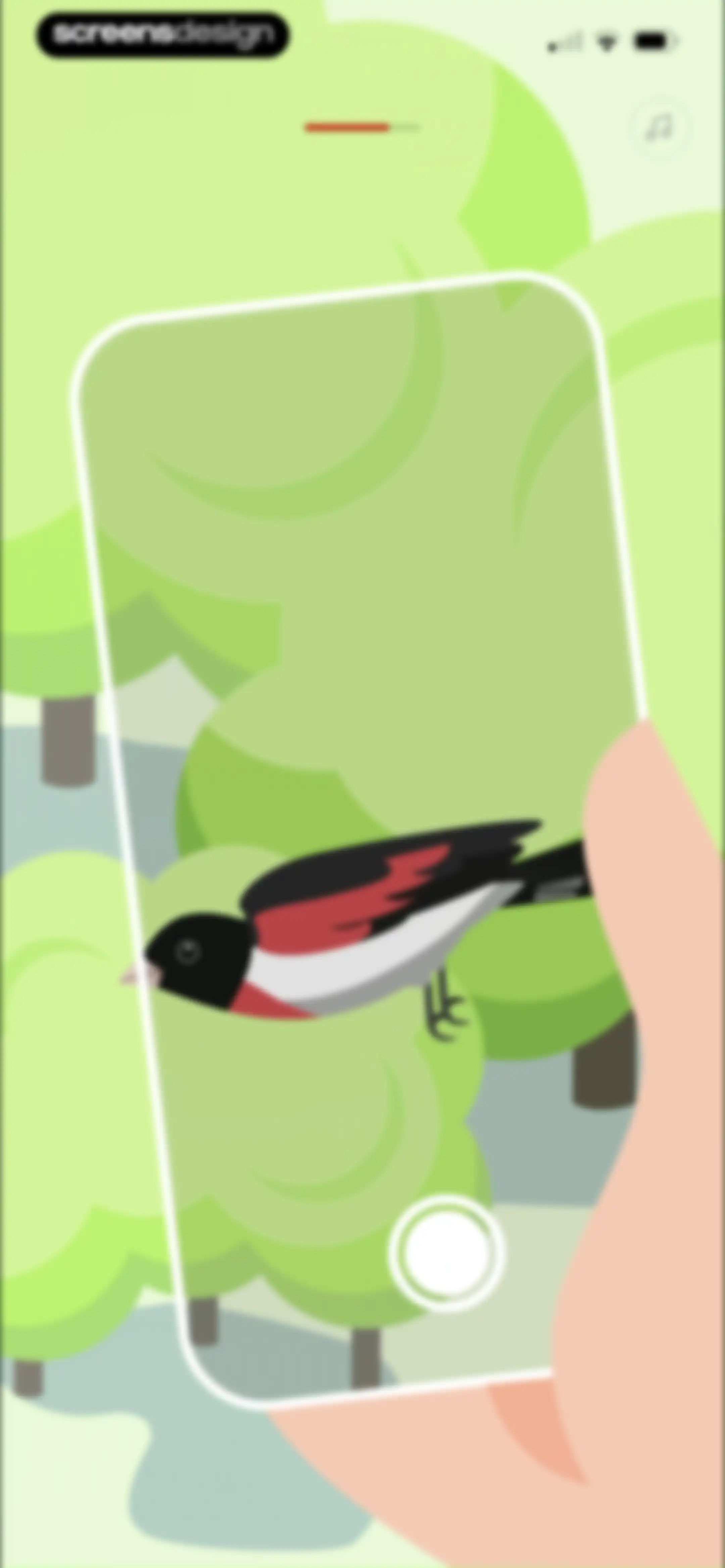 Picture Bird: Bird identifier screen 10