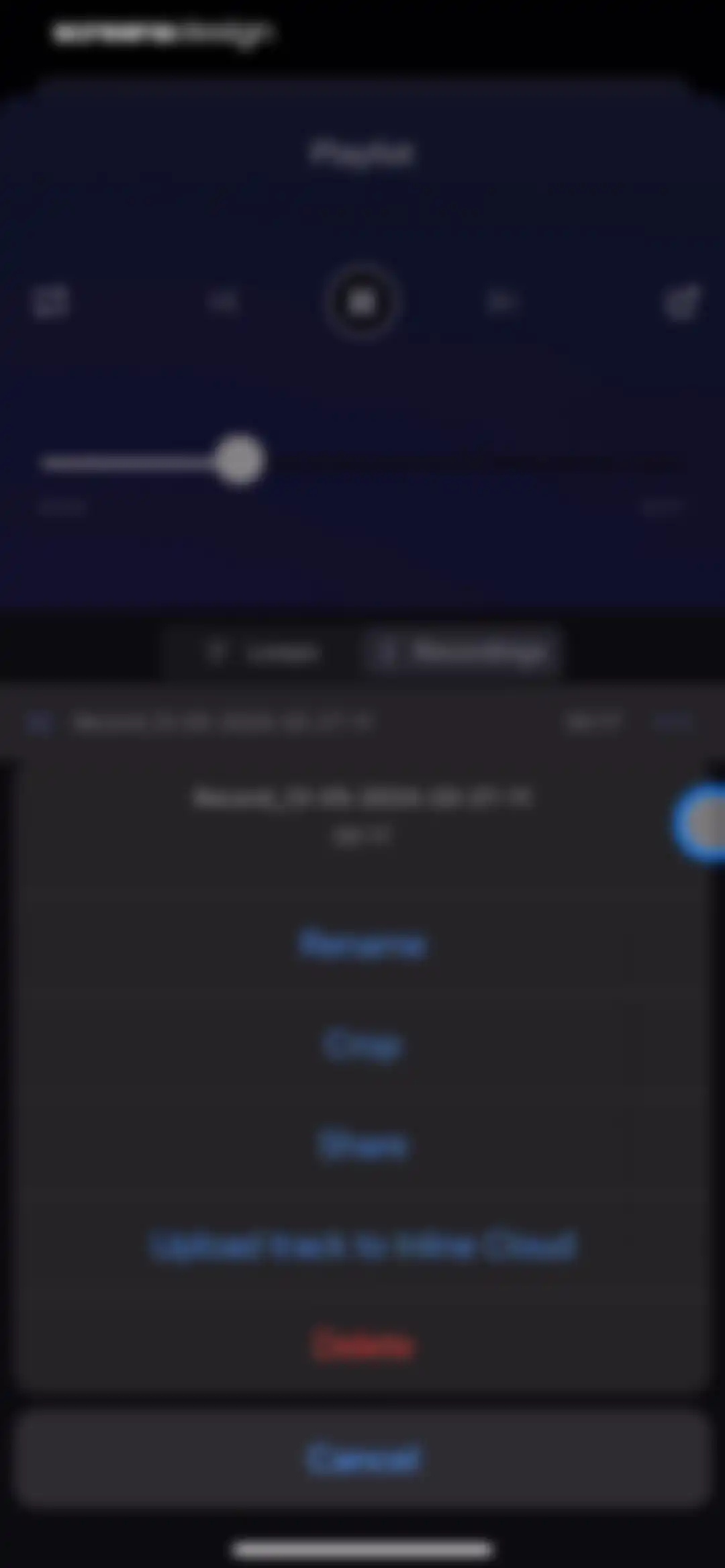Pro Microphone: Voice Record screen 8