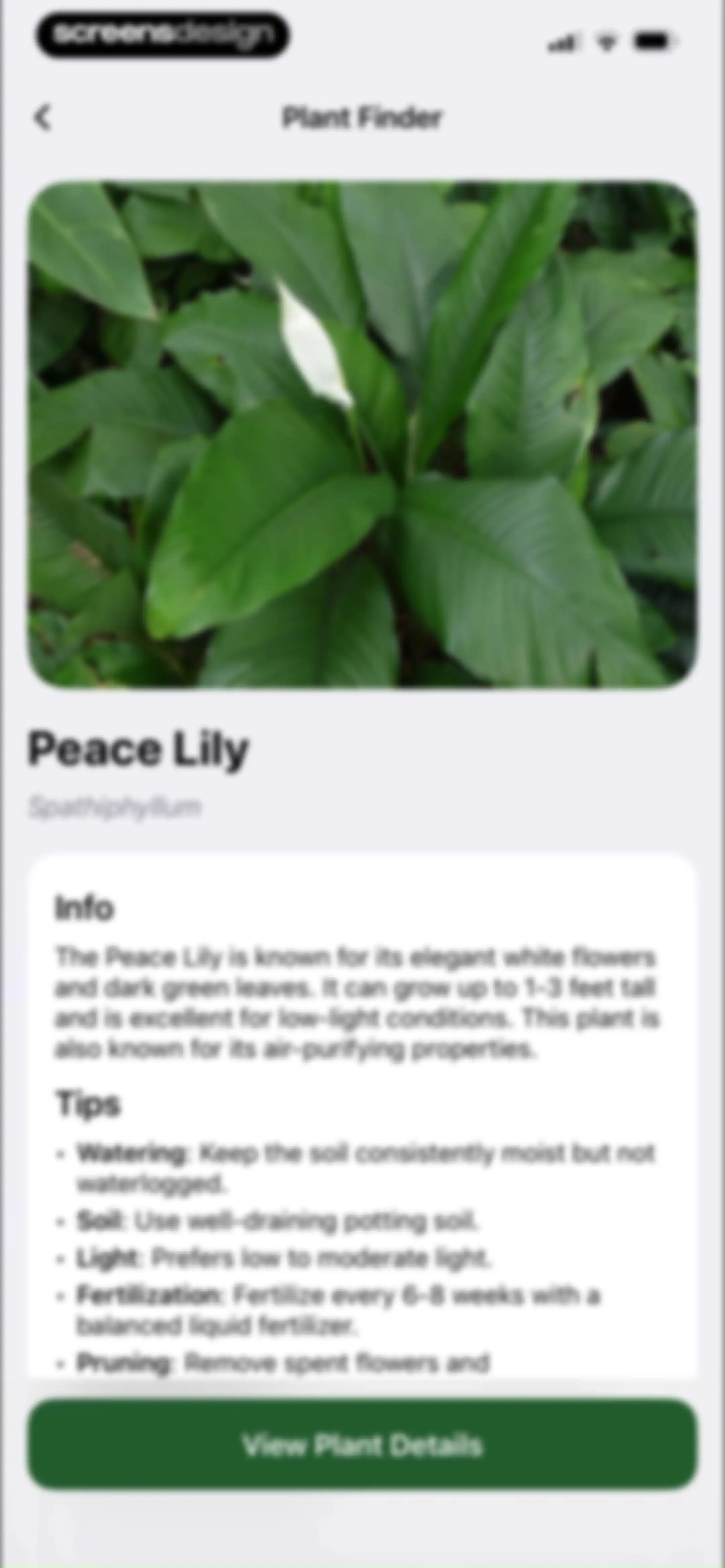 FloraSnap: Plant Scanner screen 63