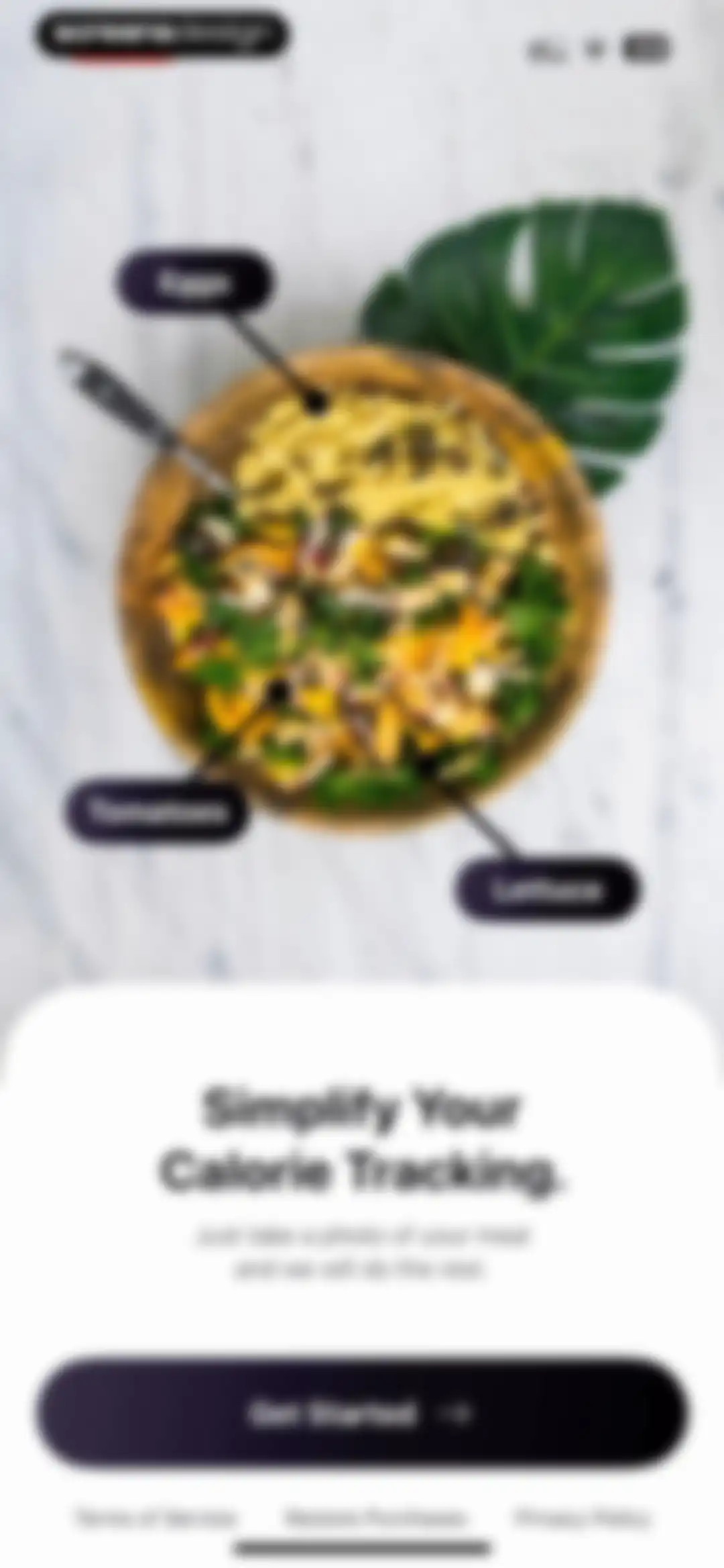 DietAI: Calorie Counter & Diet screen 2