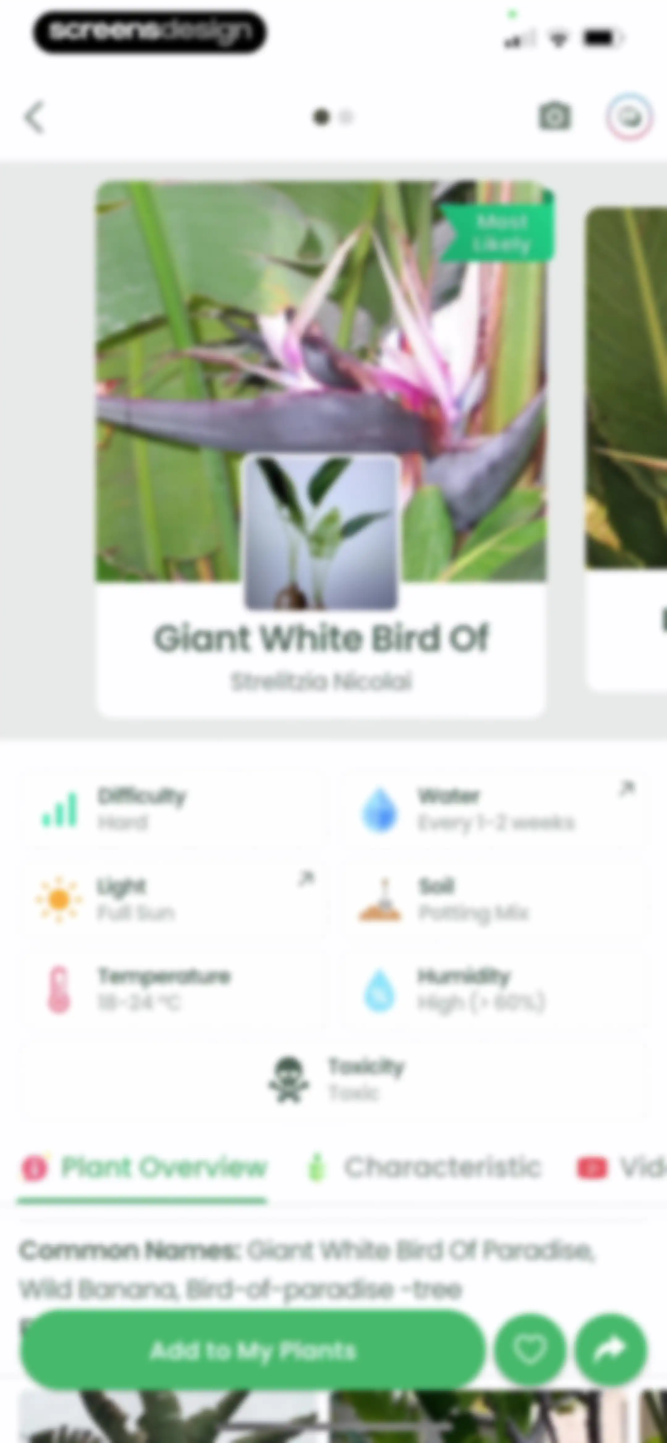 Plant Identifier: Plantiary screen 63