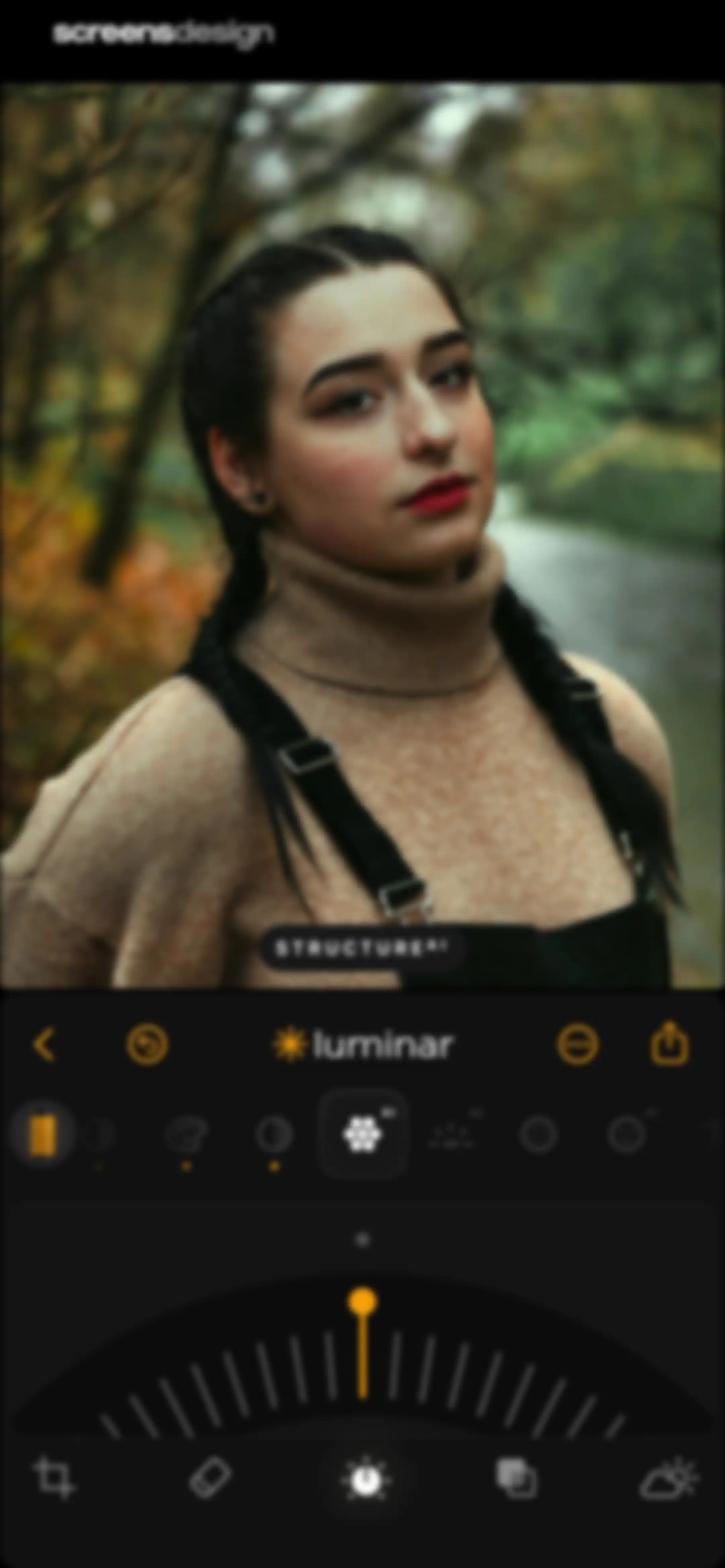 Luminar: Image Editor&Enhancer screen 25