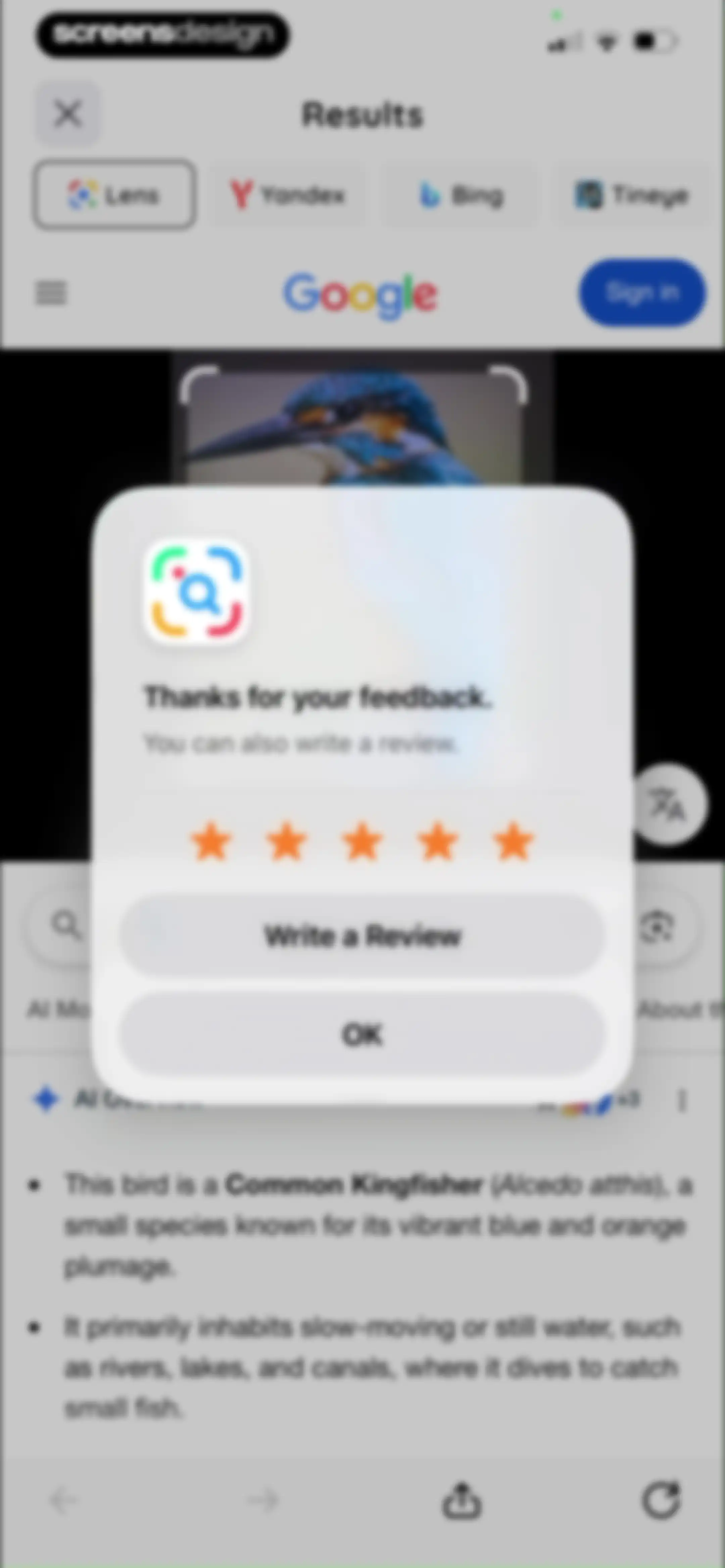 Lens: Translate & Image Search screen 21