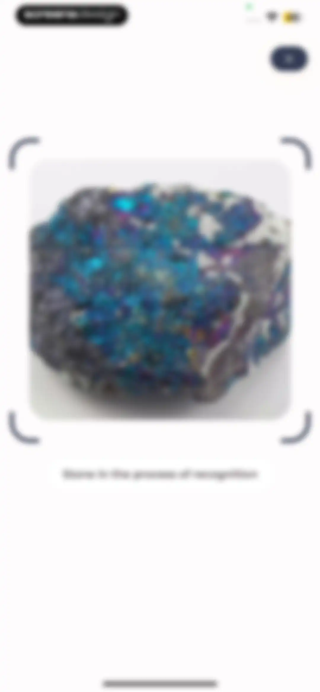 Stone Identifier: Rock Scanner screen 15