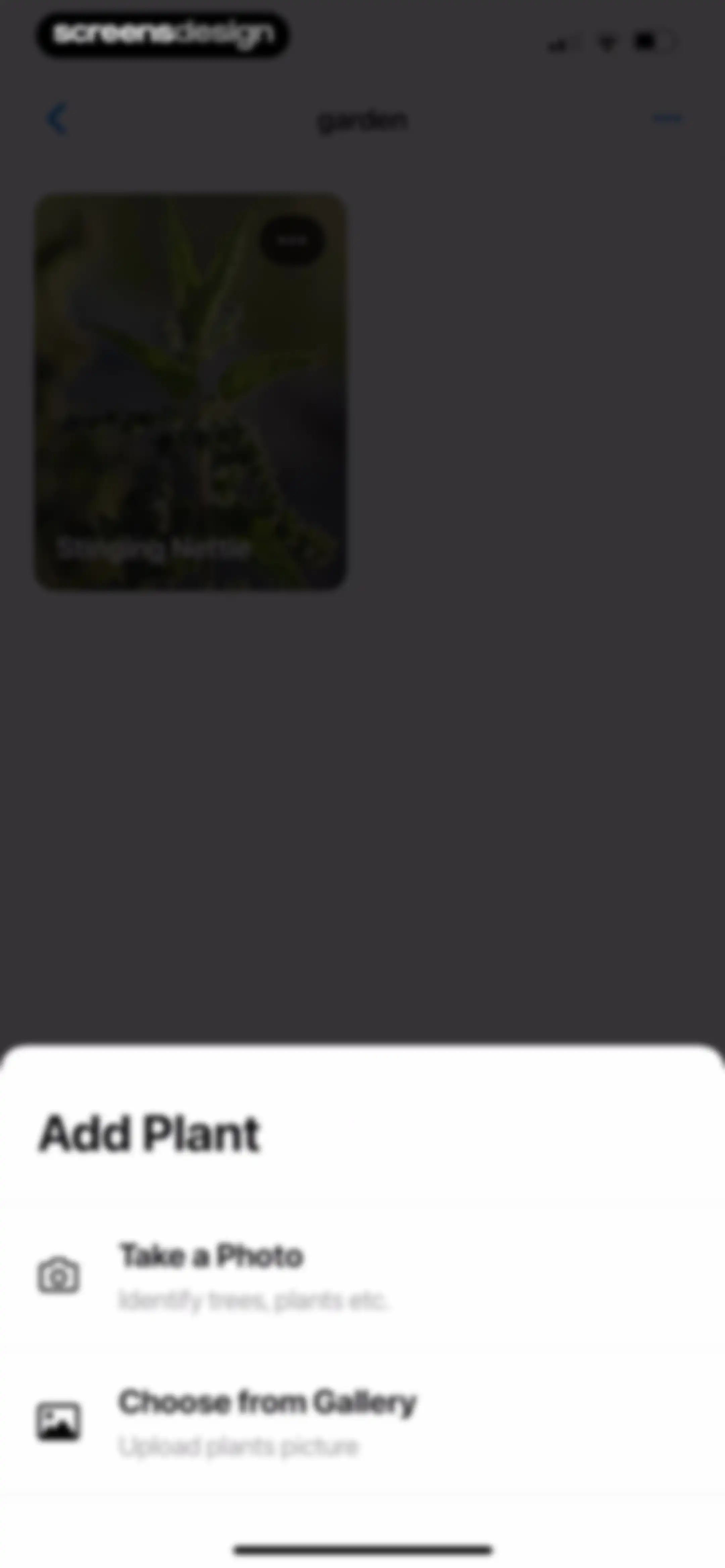 Plant App: Plant Identifier screen 134