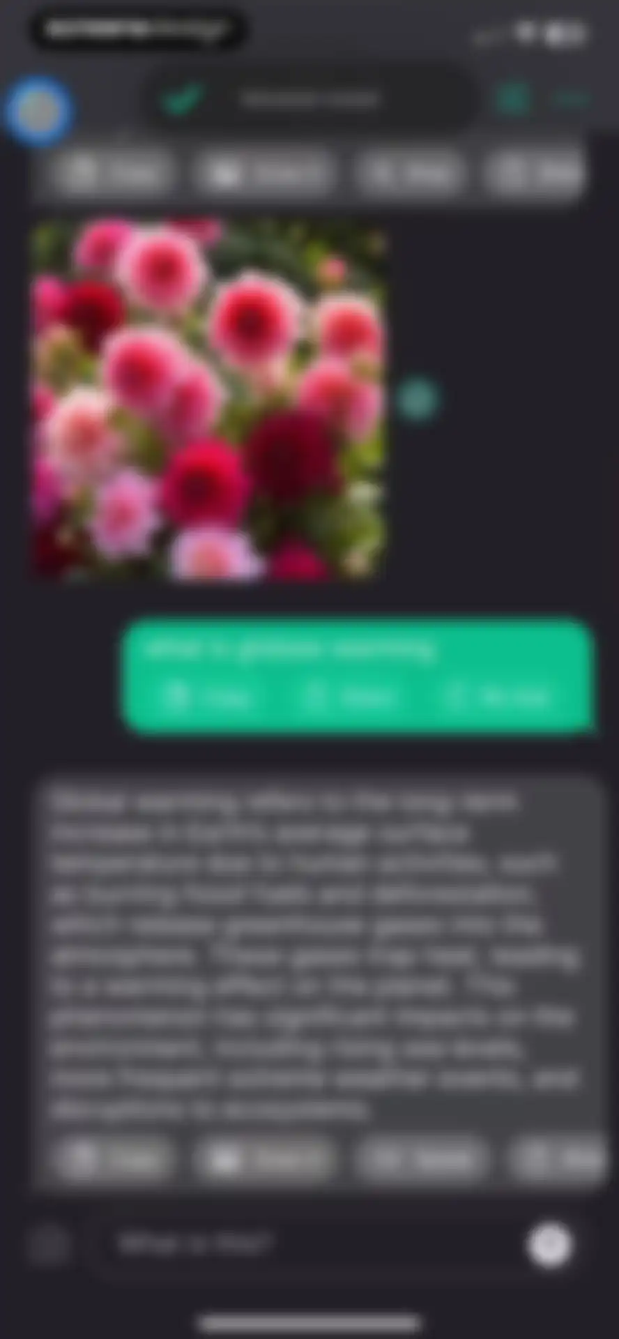 AI+ Chat & Al Video Generator screen 22