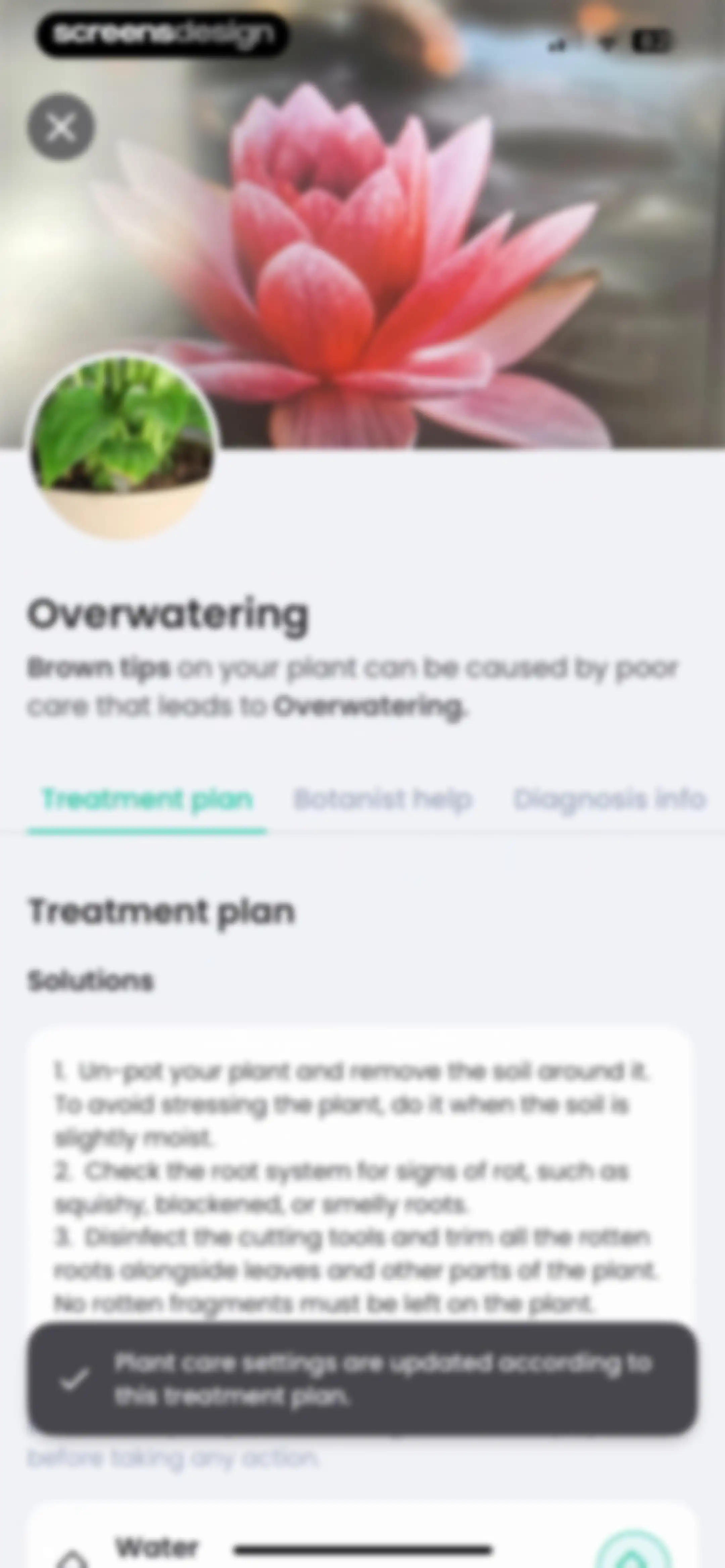 PlantIn: Plant Identifier・Care screen 77
