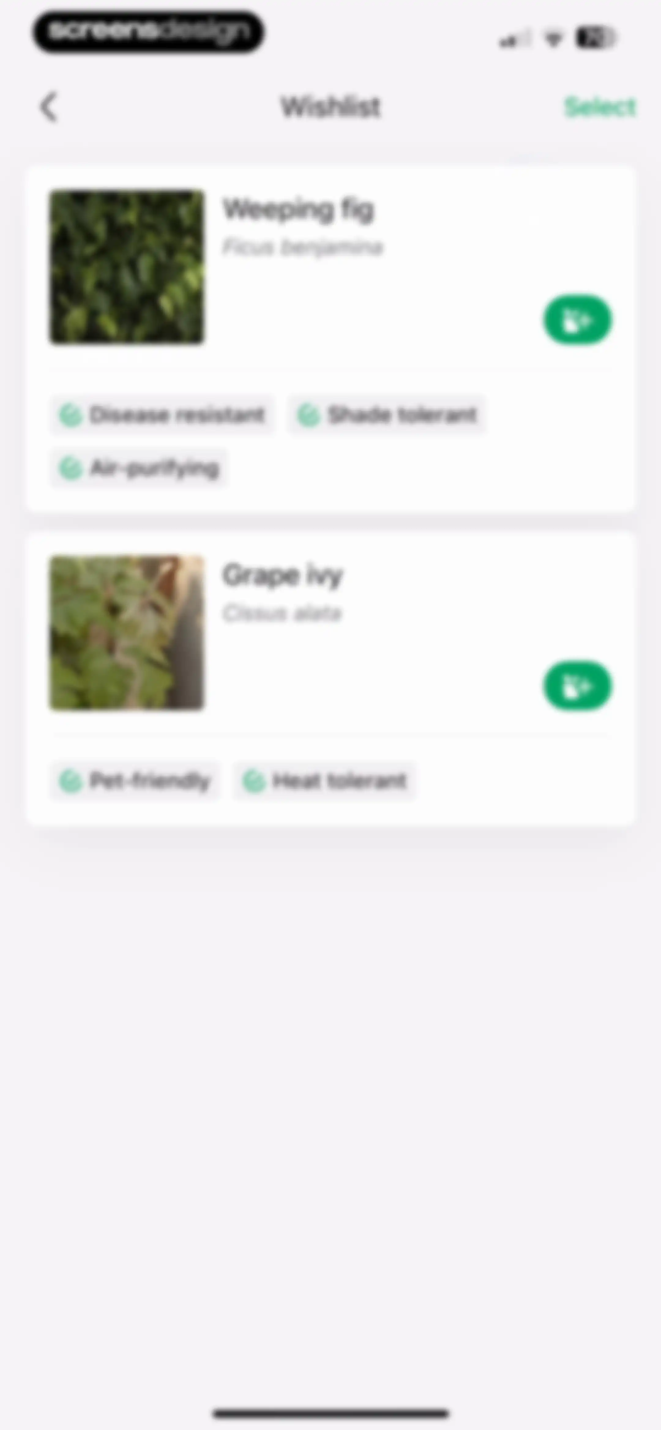 PictureThis - Plant Identifier screen 178