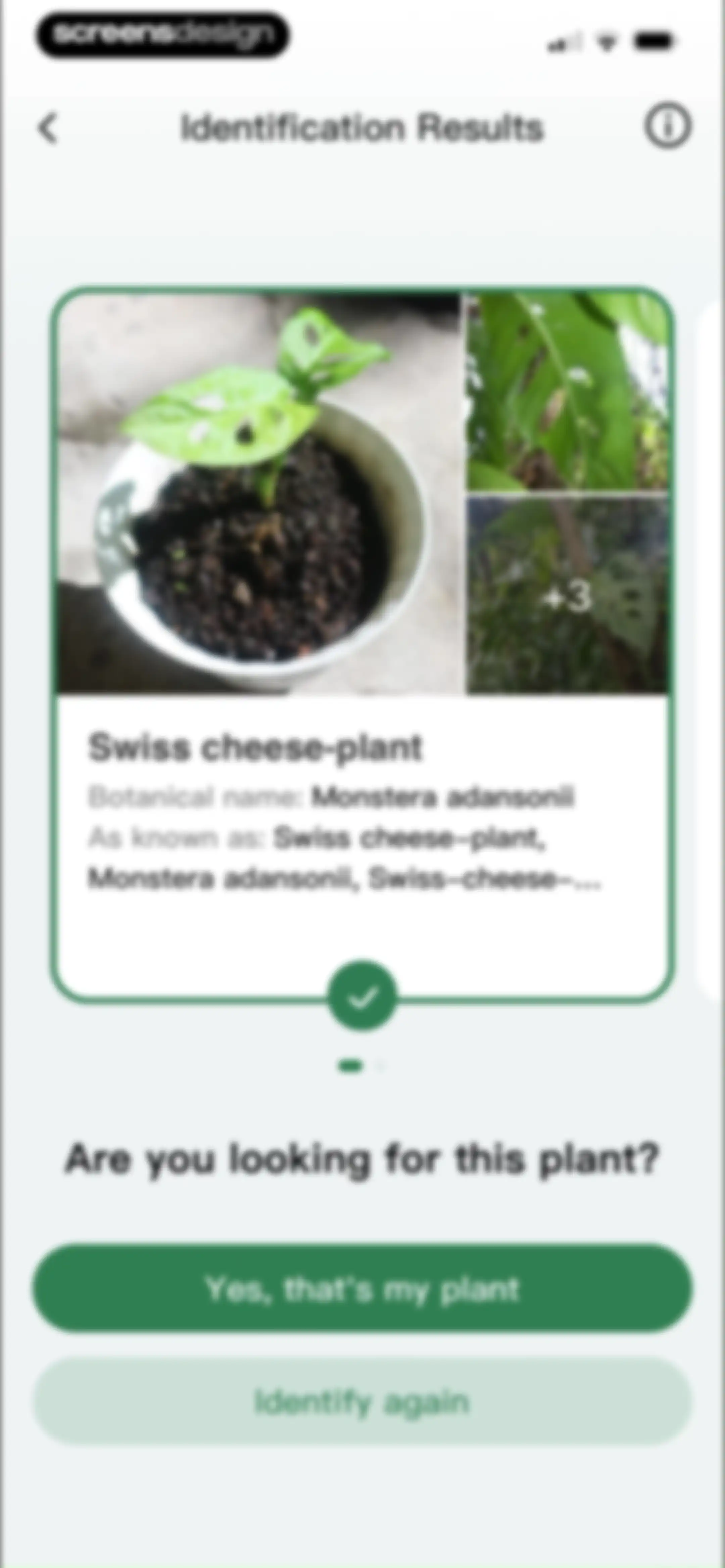 PlantLush: Plant ID & Care Pro screen 45