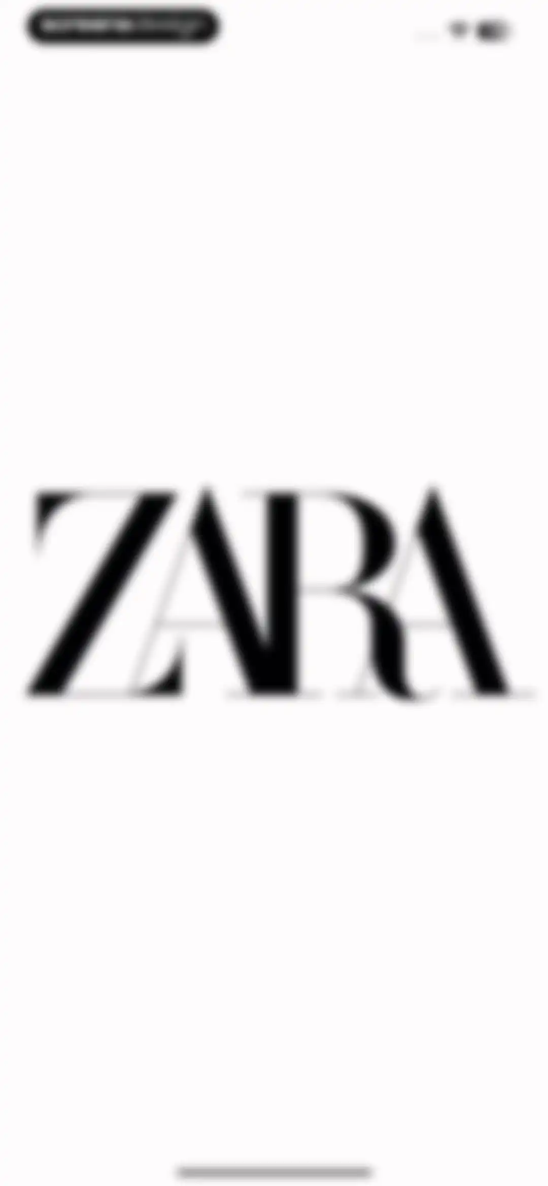 ZARA screen 1