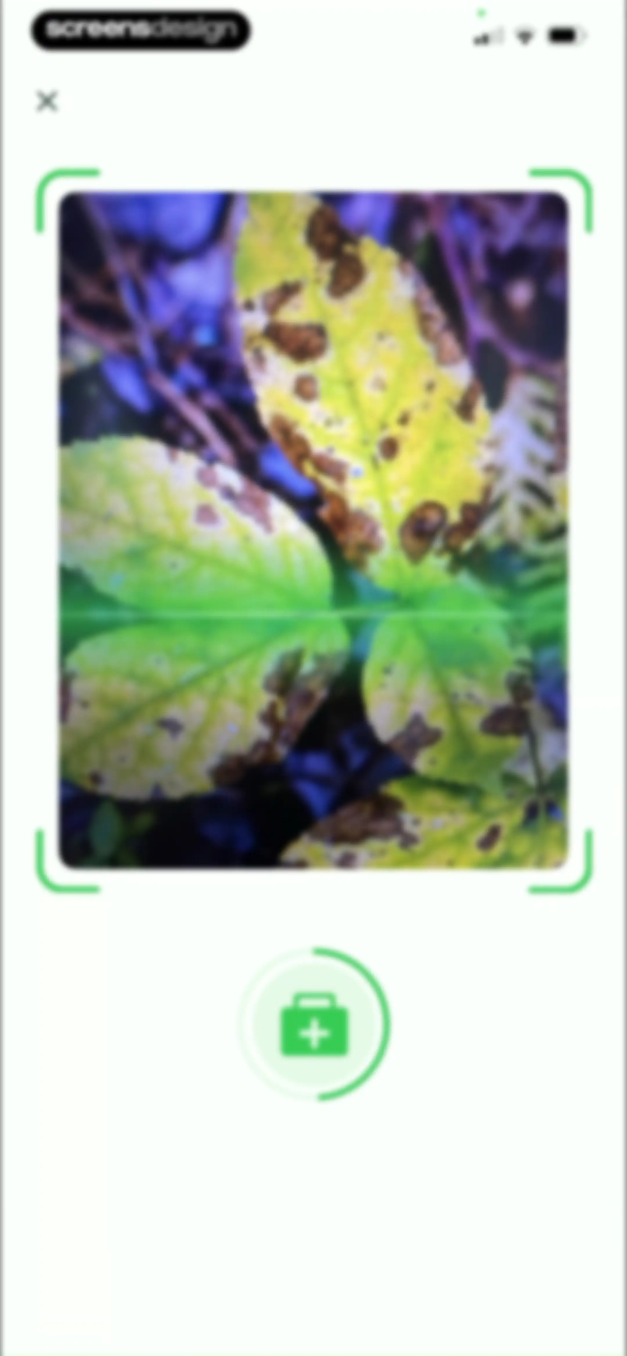 Plant Identifier & Plant Care. screen 52