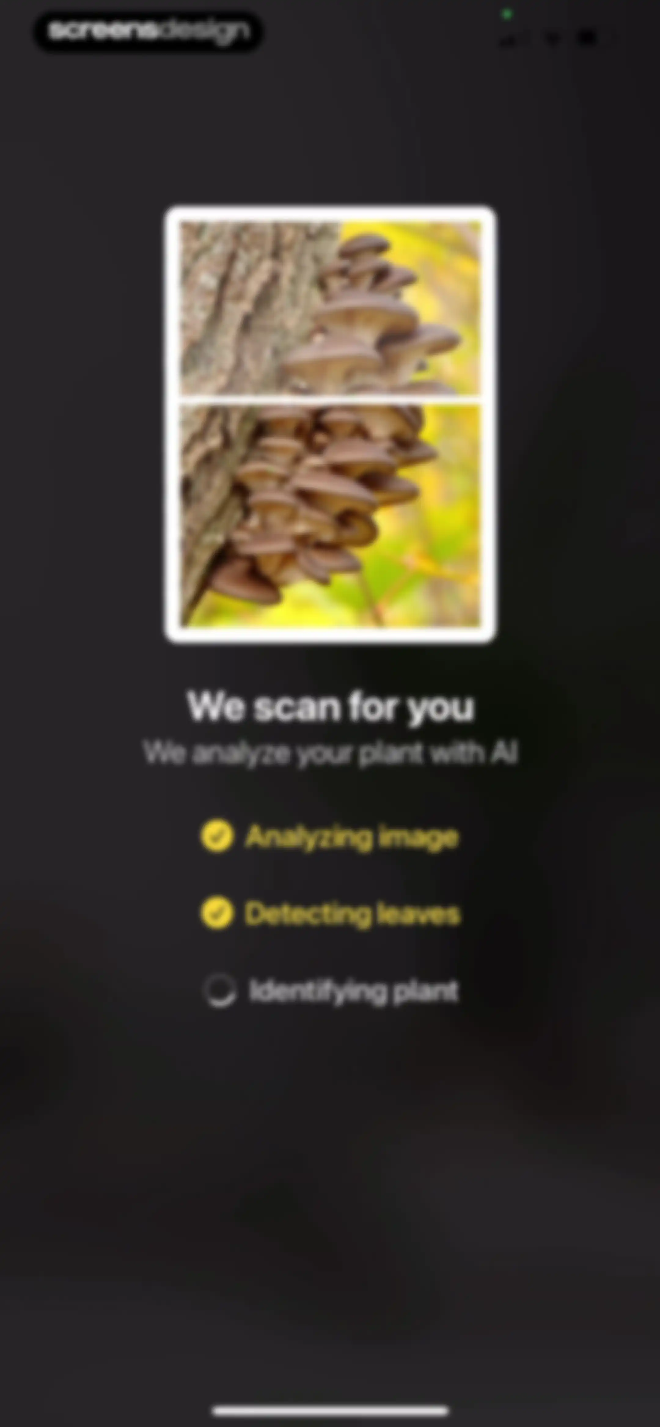Plant App: Plant Identifier screen 74