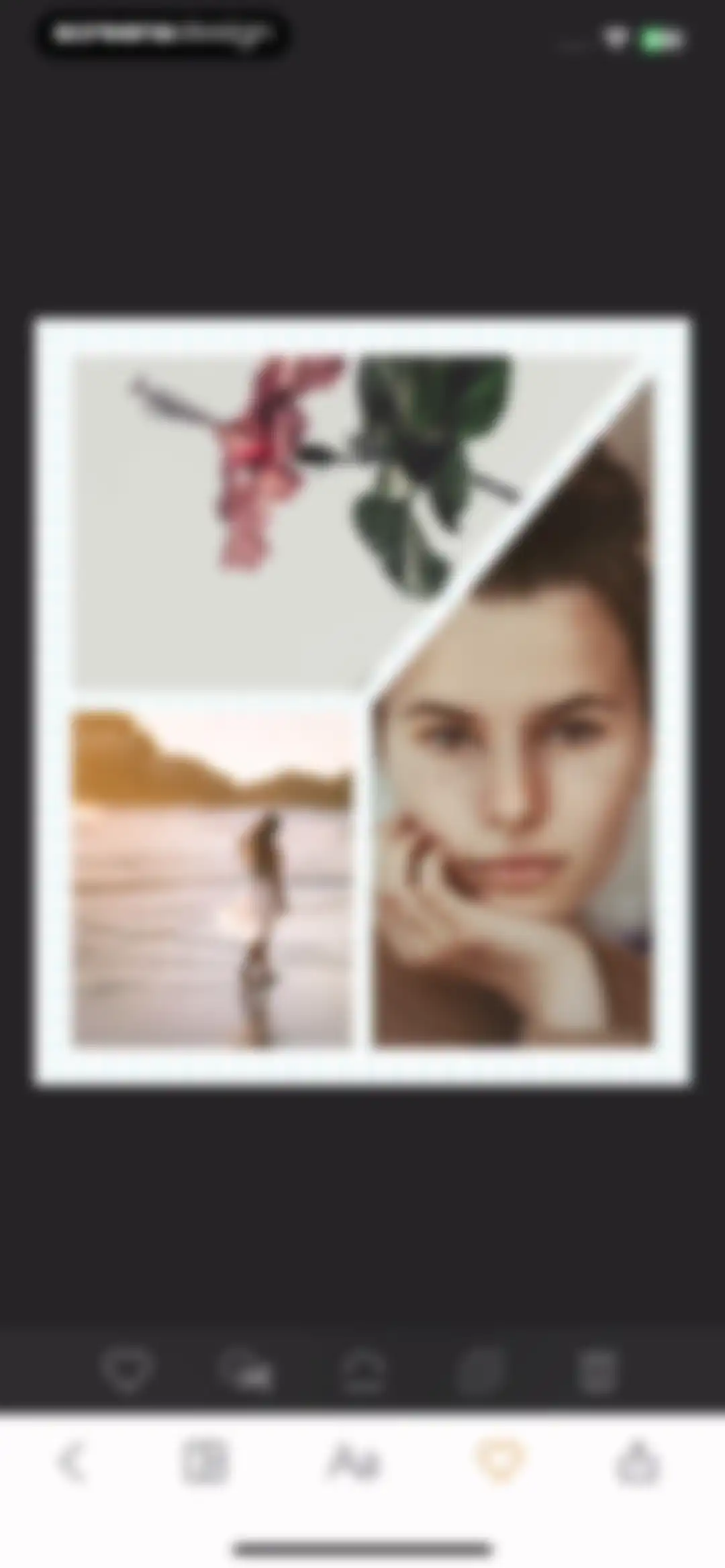 MOLDIV Photo Editor, Collage screen 84