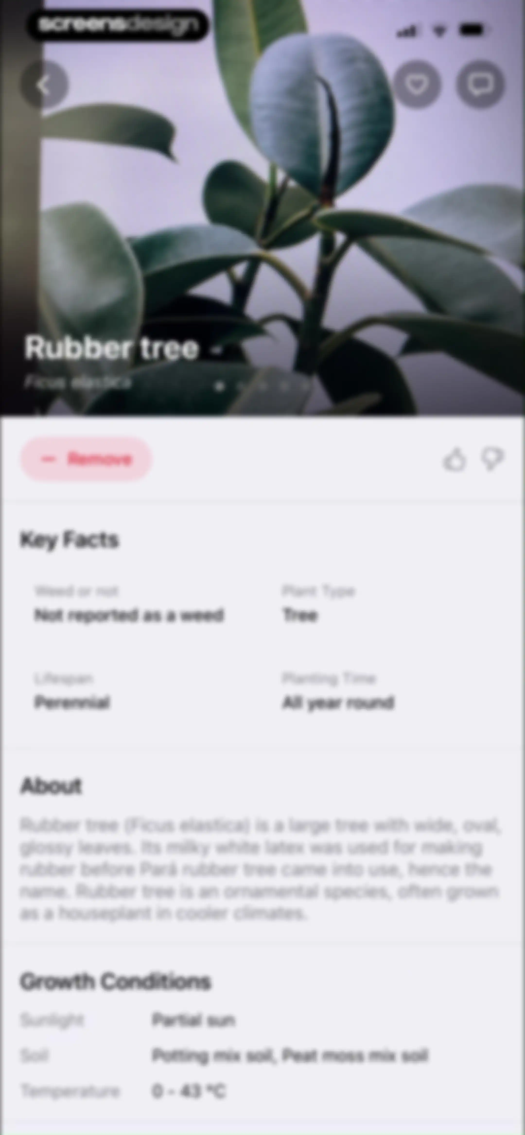 FloraSnap: Plant Scanner screen 87