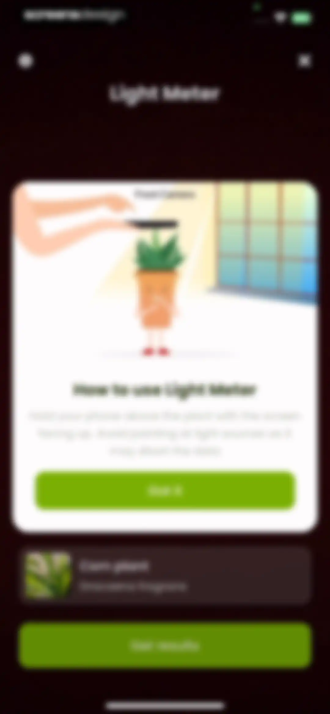 Plant Identifier & Care: Ficus screen 34