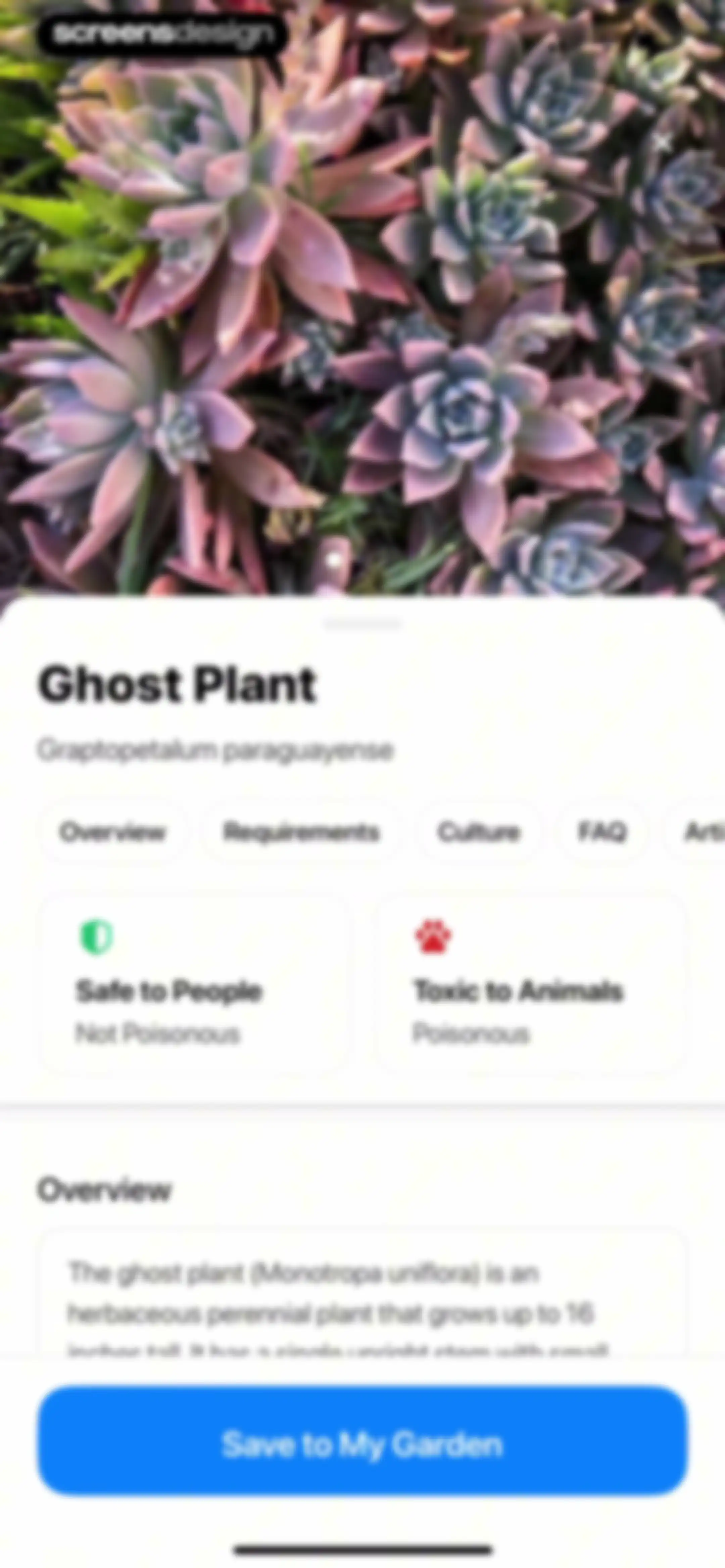 Plant App: Plant Identifier screen 125