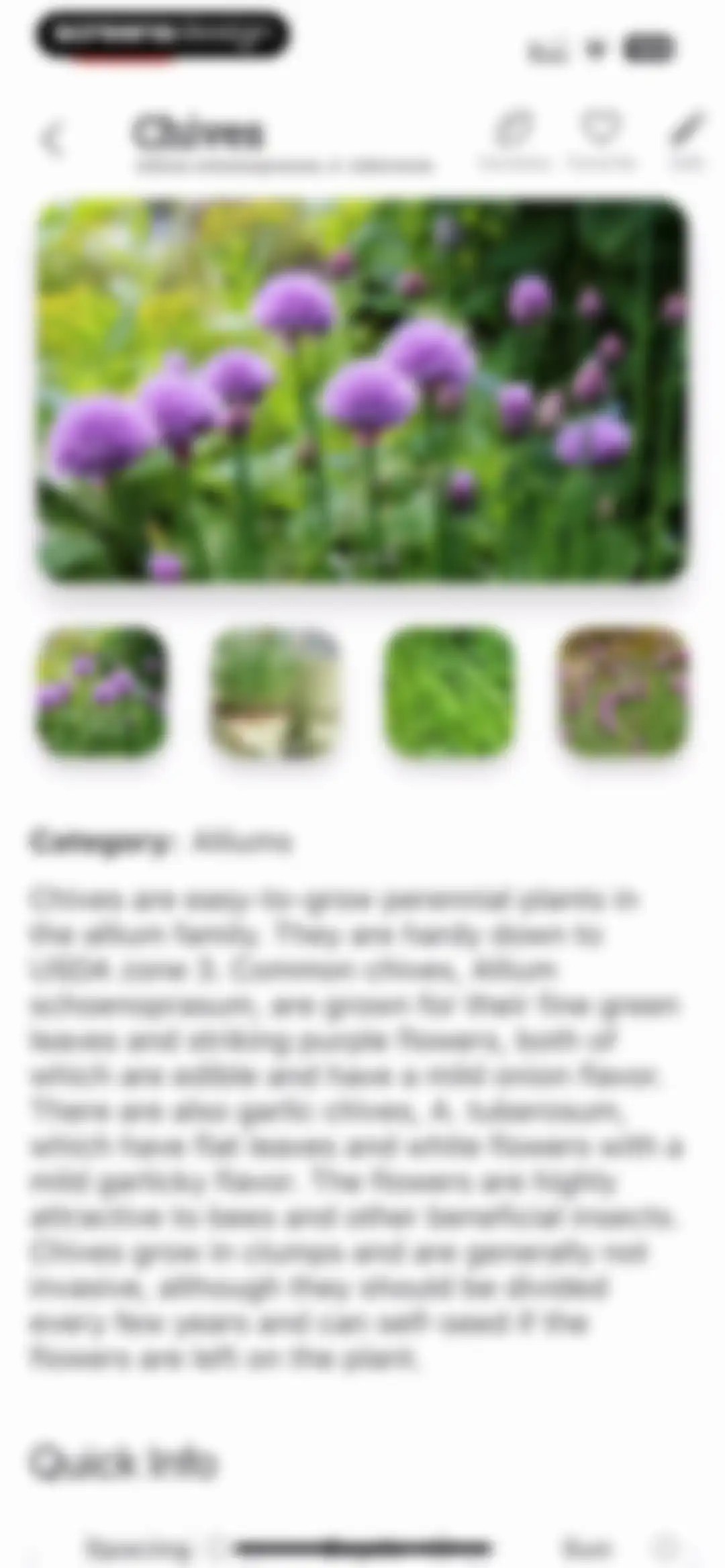 Planter: Garden Planner screen 31