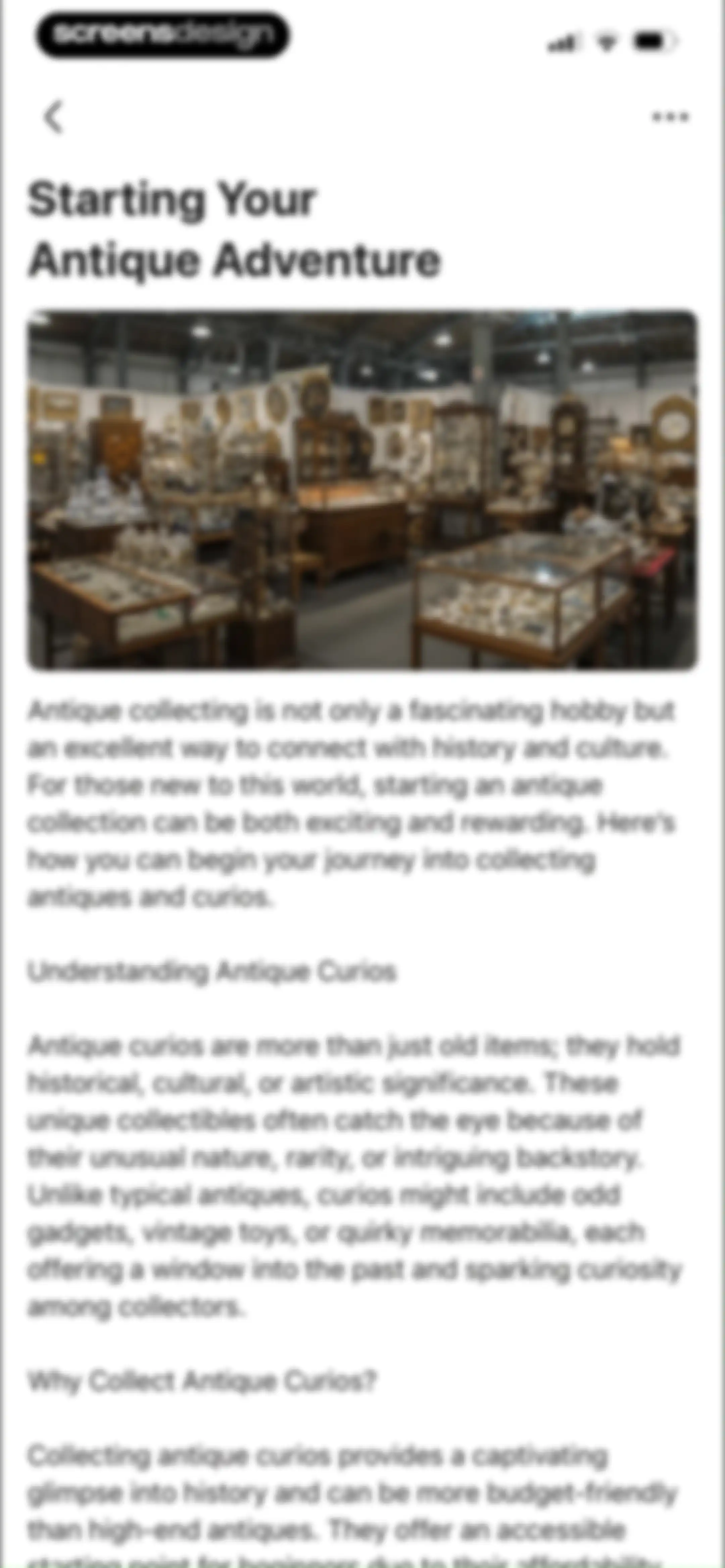 AntiqSnap: Antique Identifier screen 47