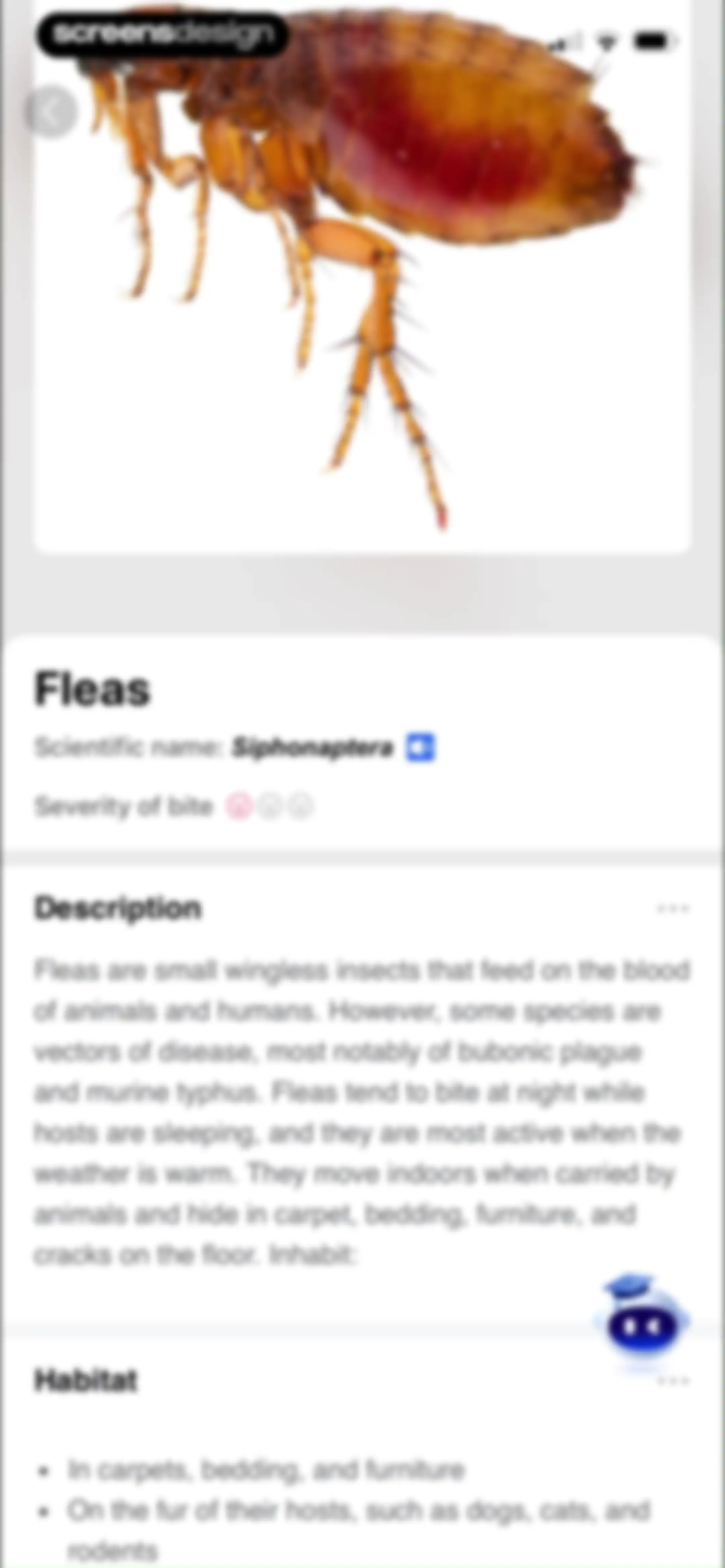 Picture Insect: Bug Identifier screen 84