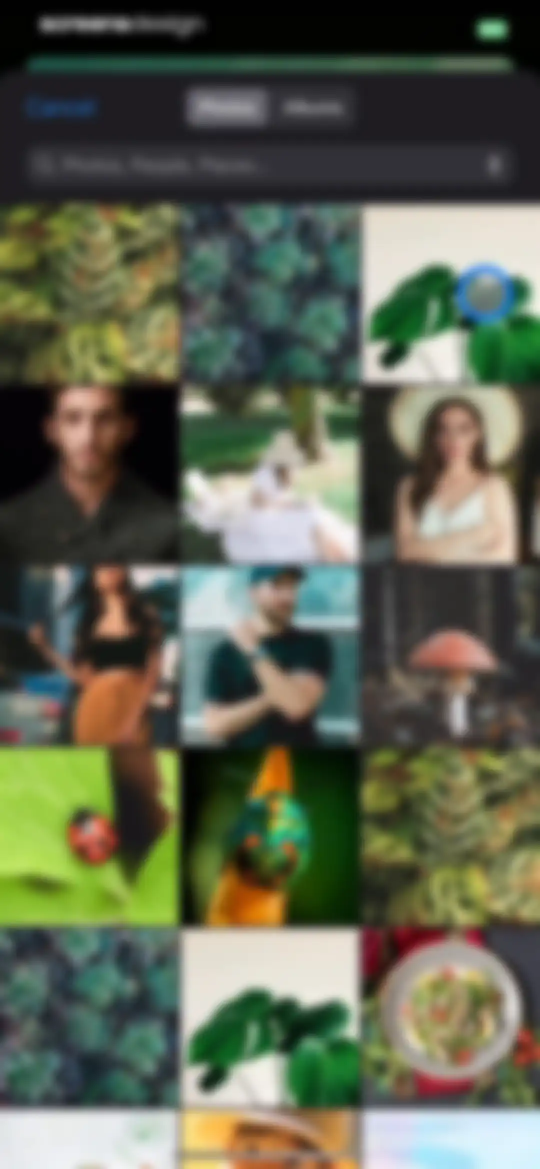 Plant Identifier: LeafSnap screen 9